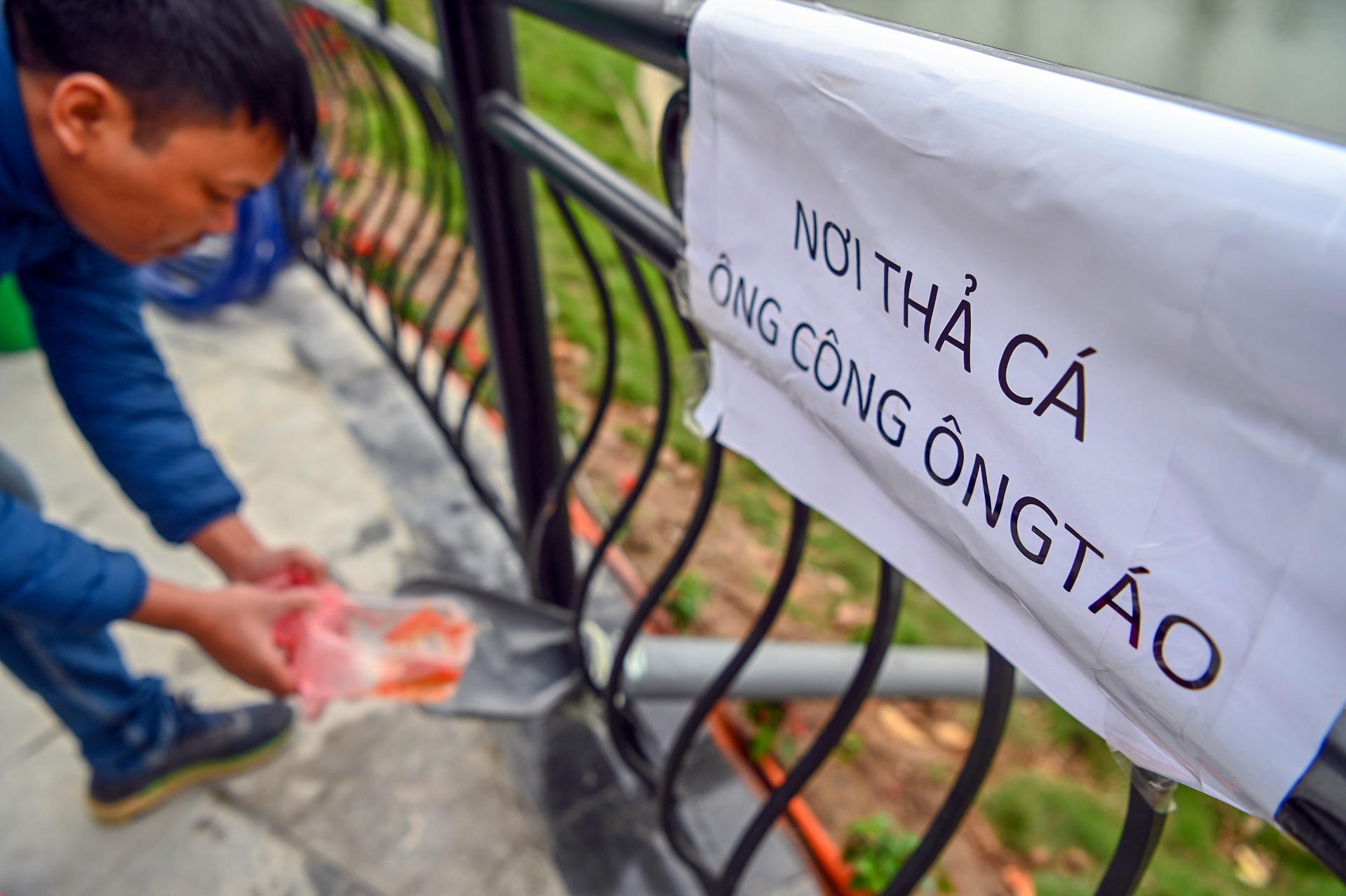 ca chep di mang truot ve troi anh 4