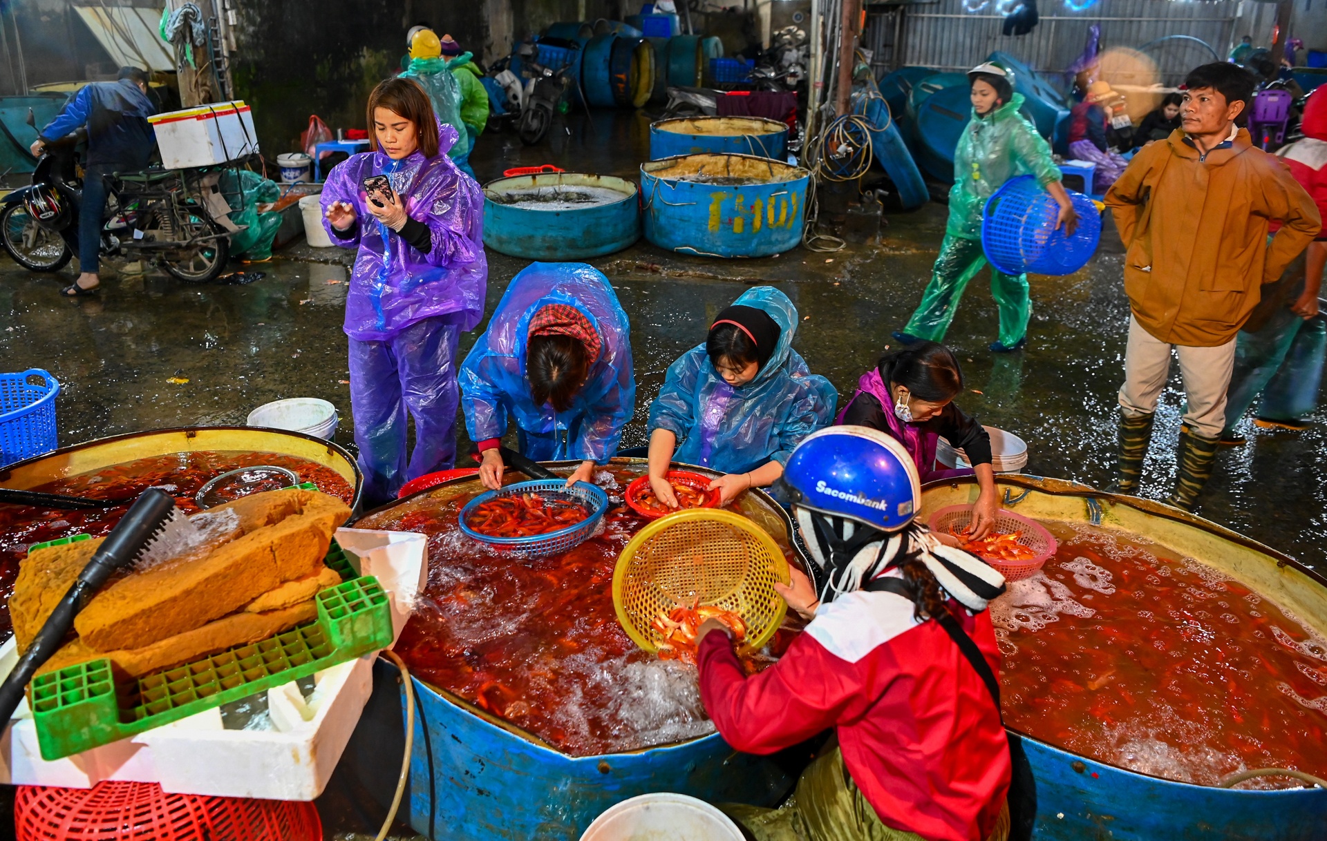 ca chep ngay cung tao quan anh 1