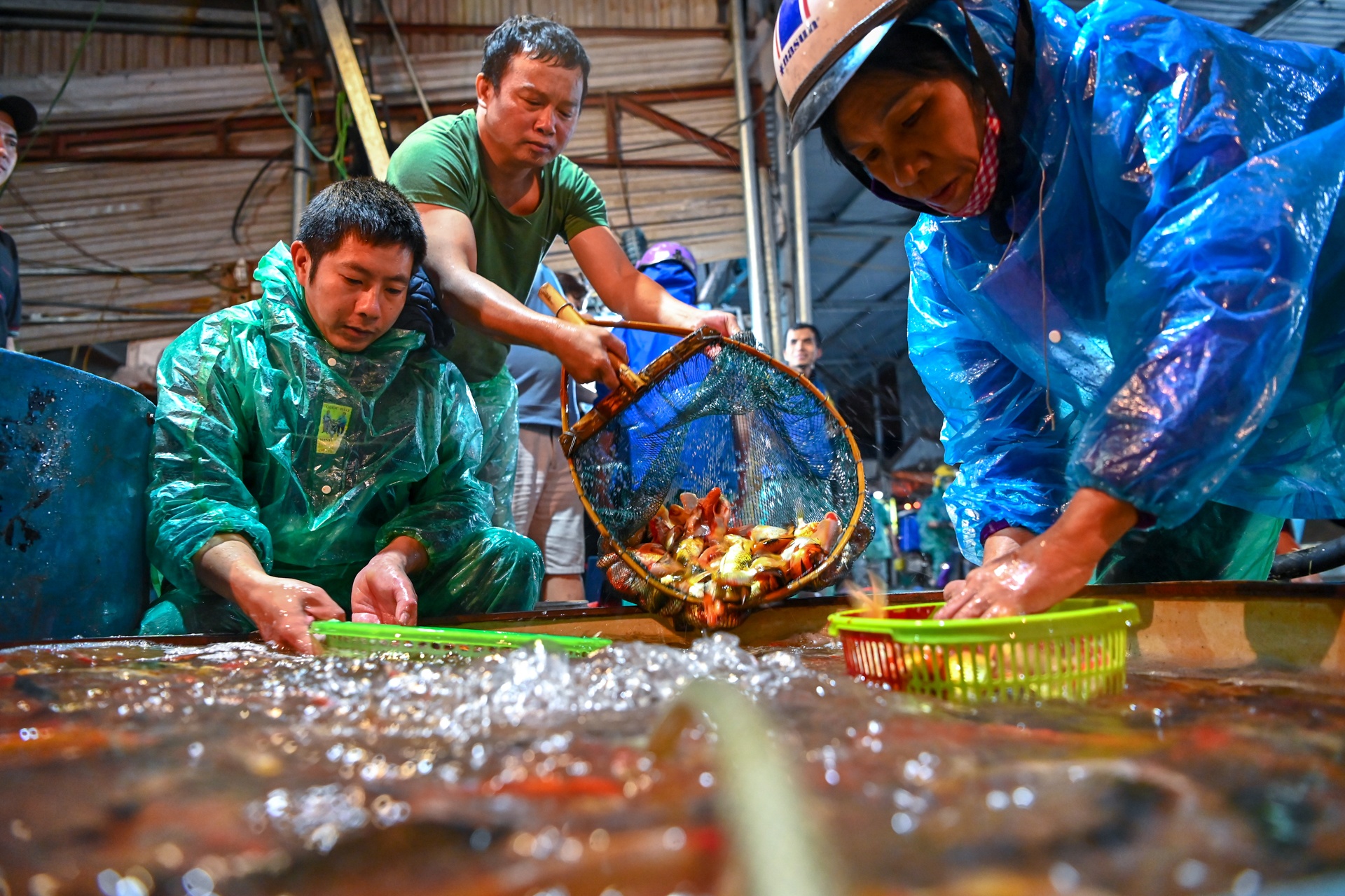 ca chep ngay cung tao quan anh 3