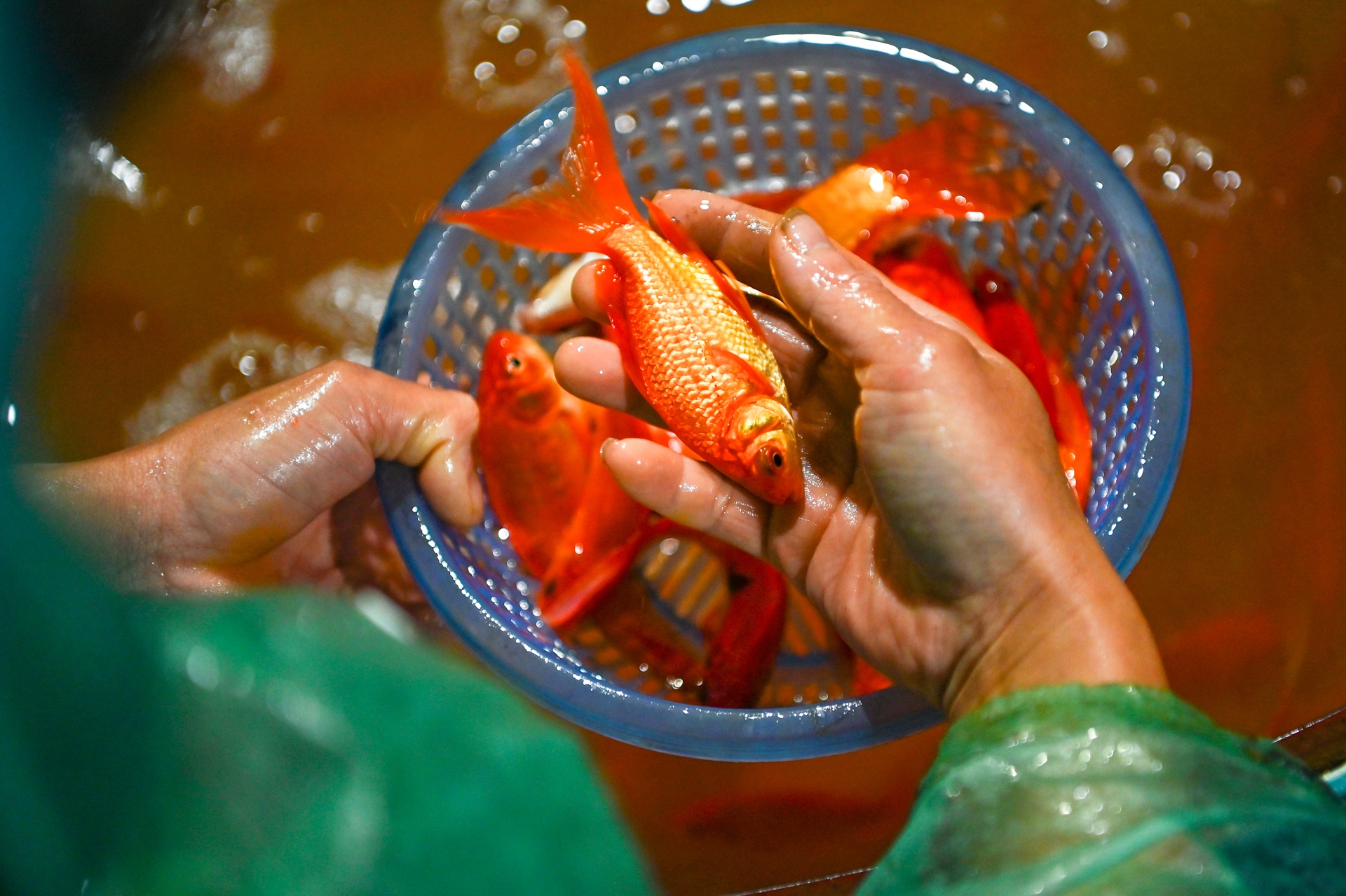 ca chep ngay cung tao quan anh 9