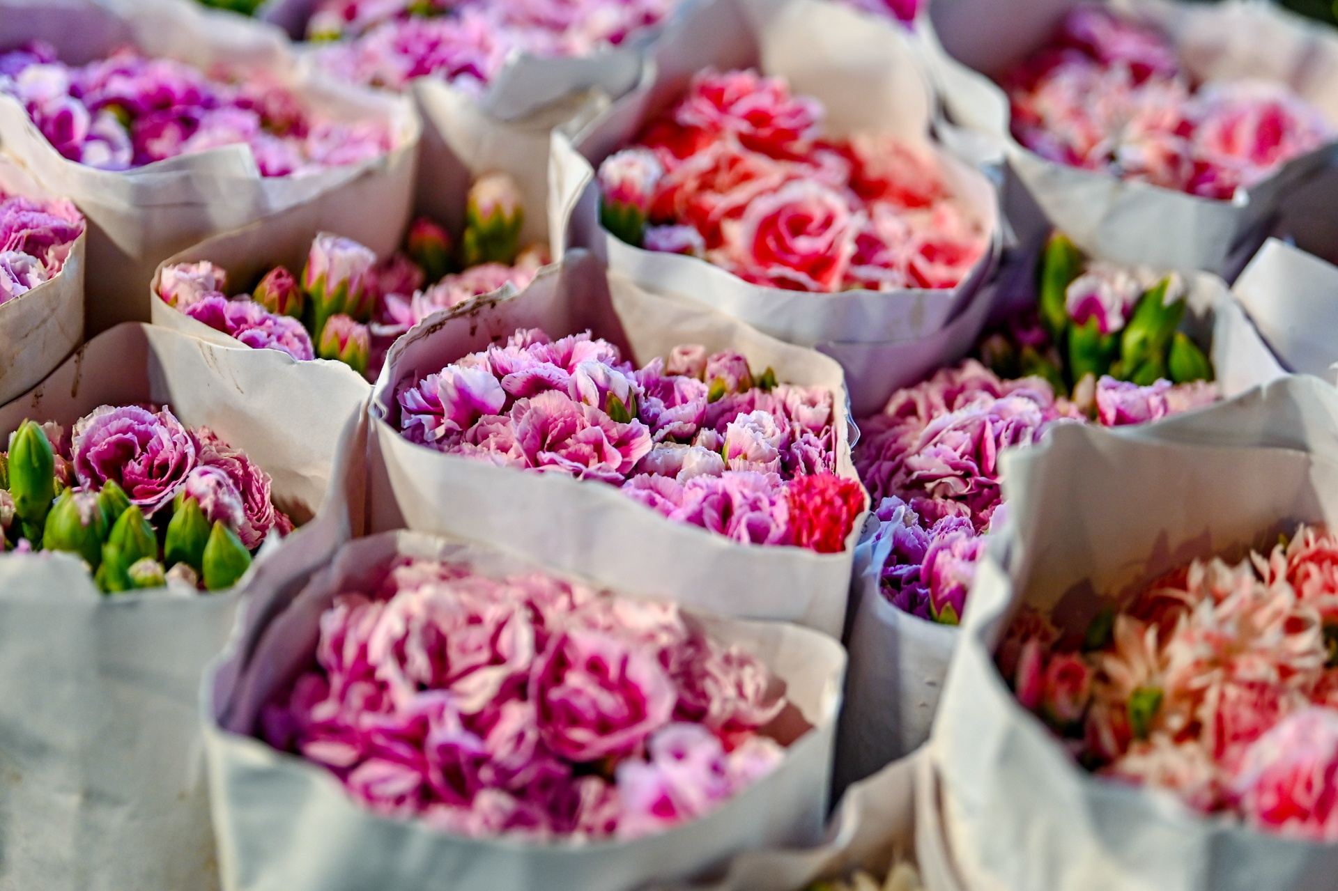 nhon nhip cho hoa ngay Tet anh 10