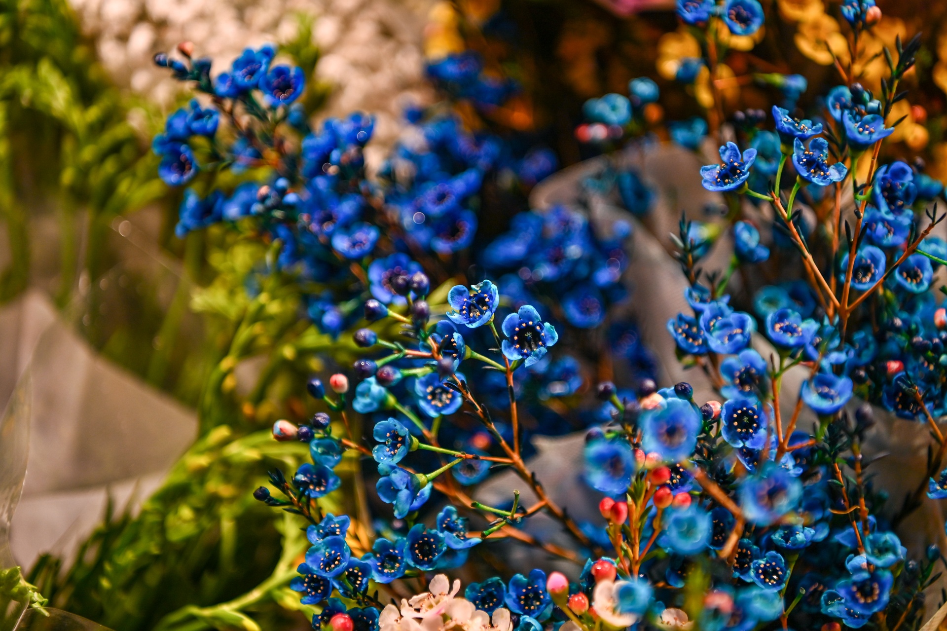 nhon nhip cho hoa ngay Tet anh 6