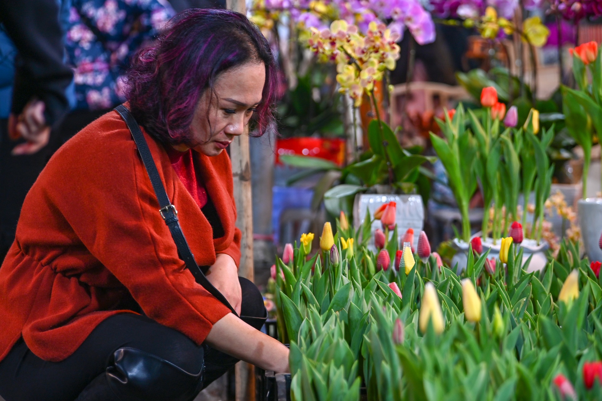 nhon nhip cho hoa ngay Tet anh 8