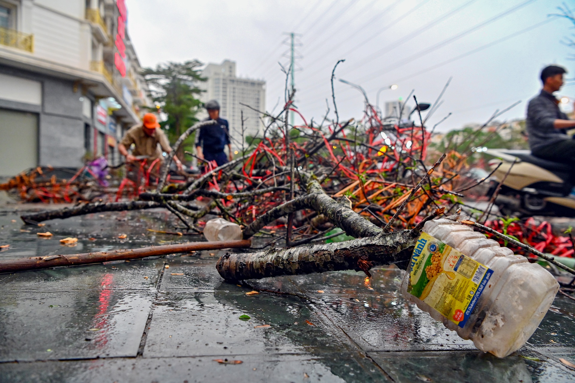 dao rung bi vut bo o Ha Noi anh 2