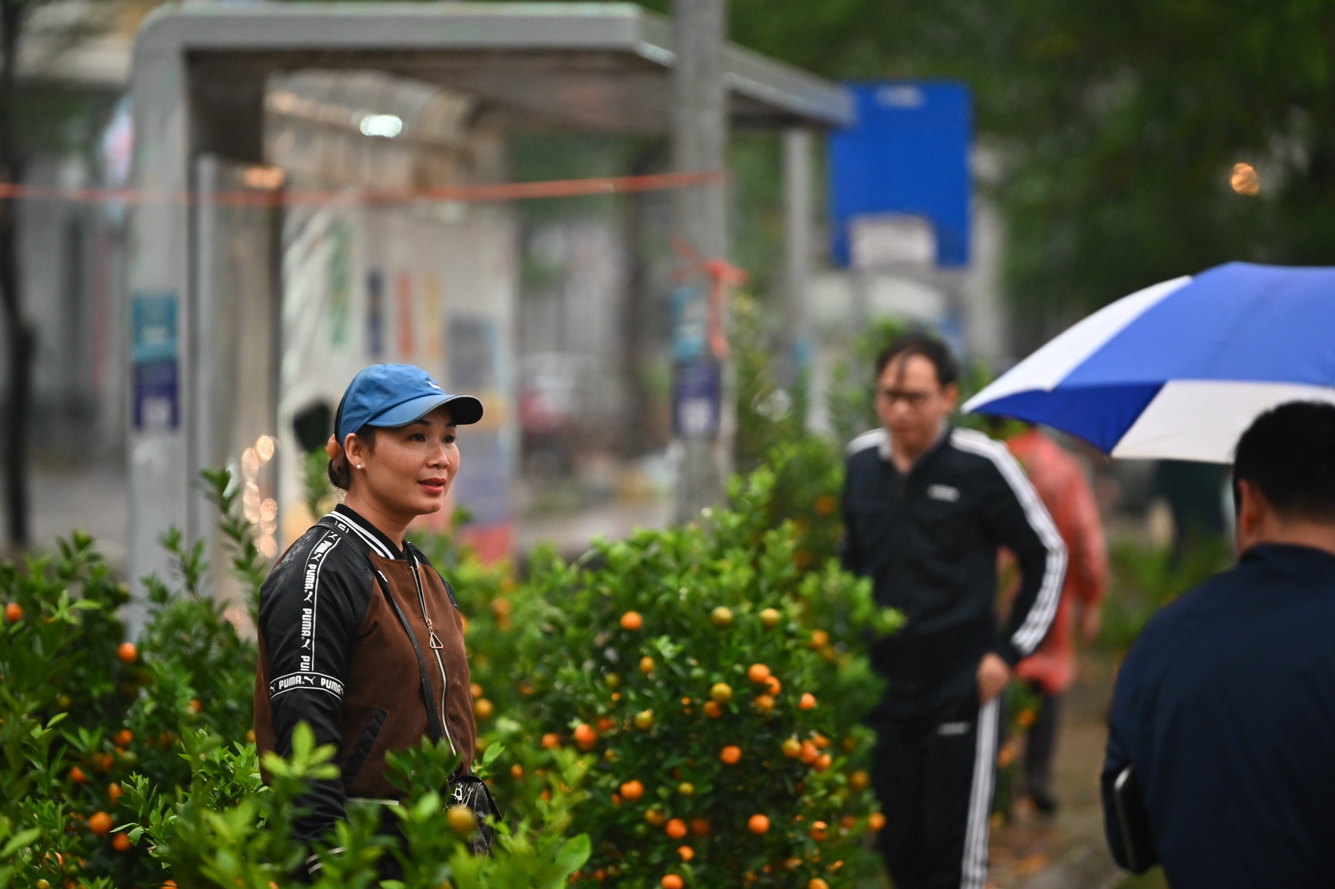 dao rung bi vut bo o Ha Noi anh 8
