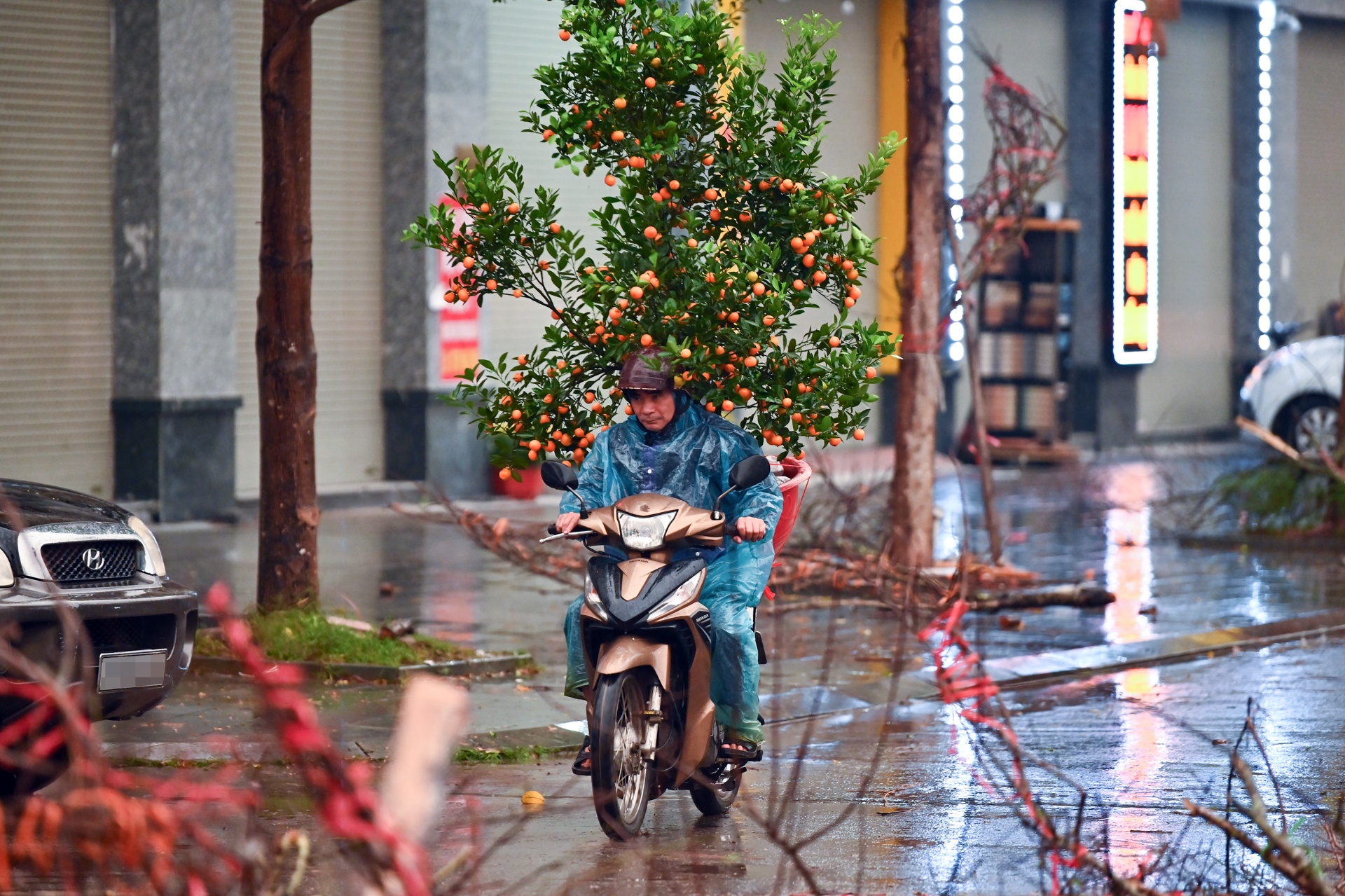 dao rung bi vut bo o Ha Noi anh 9