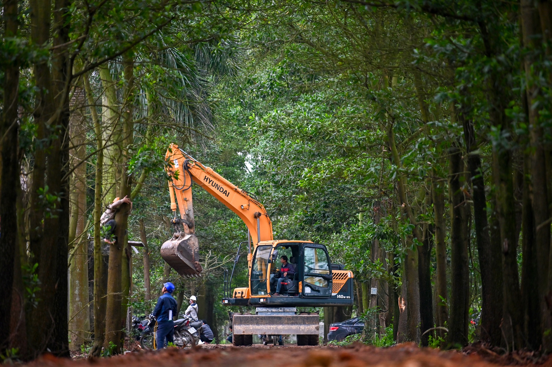 khoi phuc benh vien thanh khu cach ly anh 9
