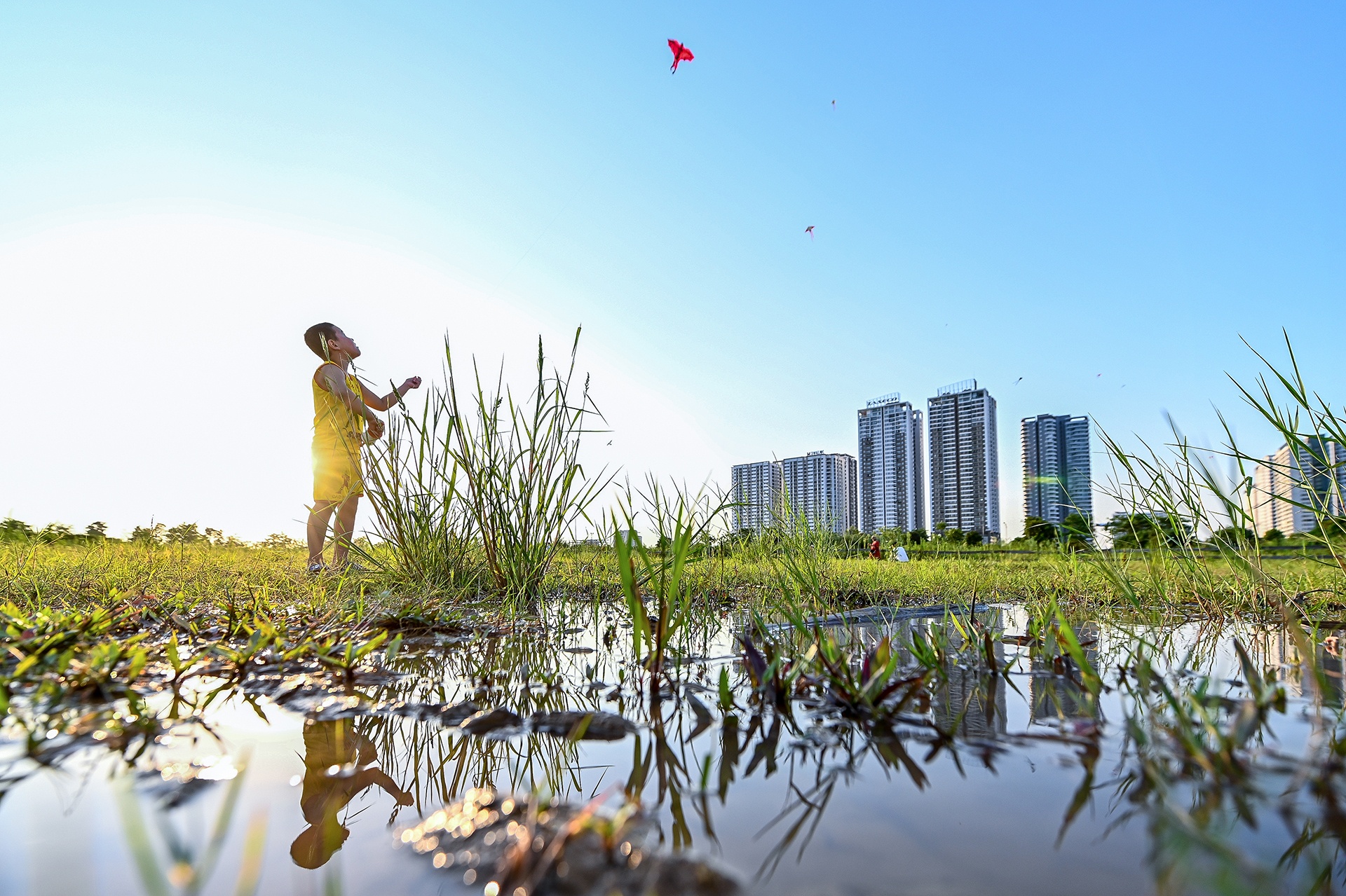 ha noi nnhung ngay he nong buc anh 26