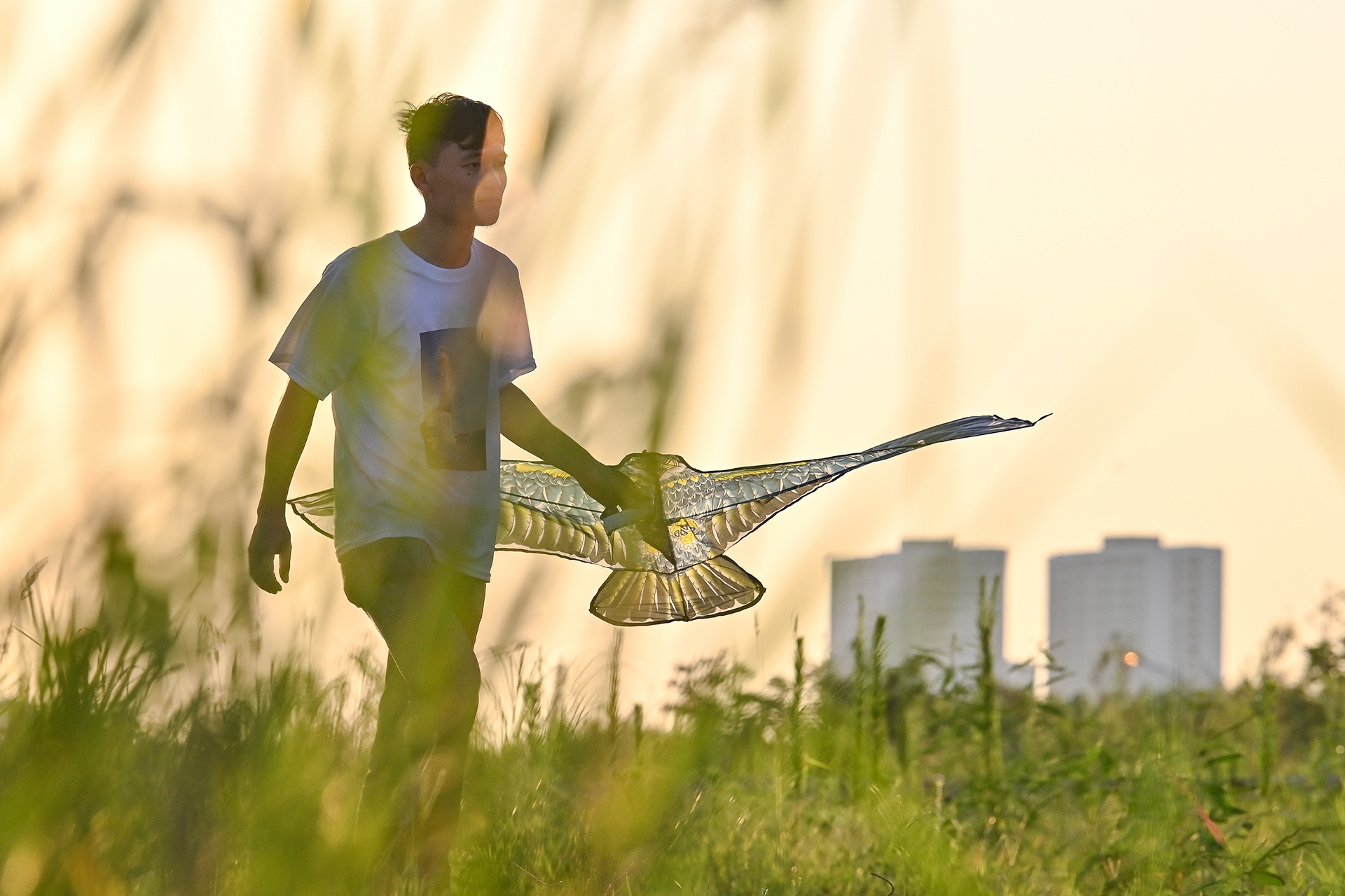 ha noi nnhung ngay he nong buc anh 27