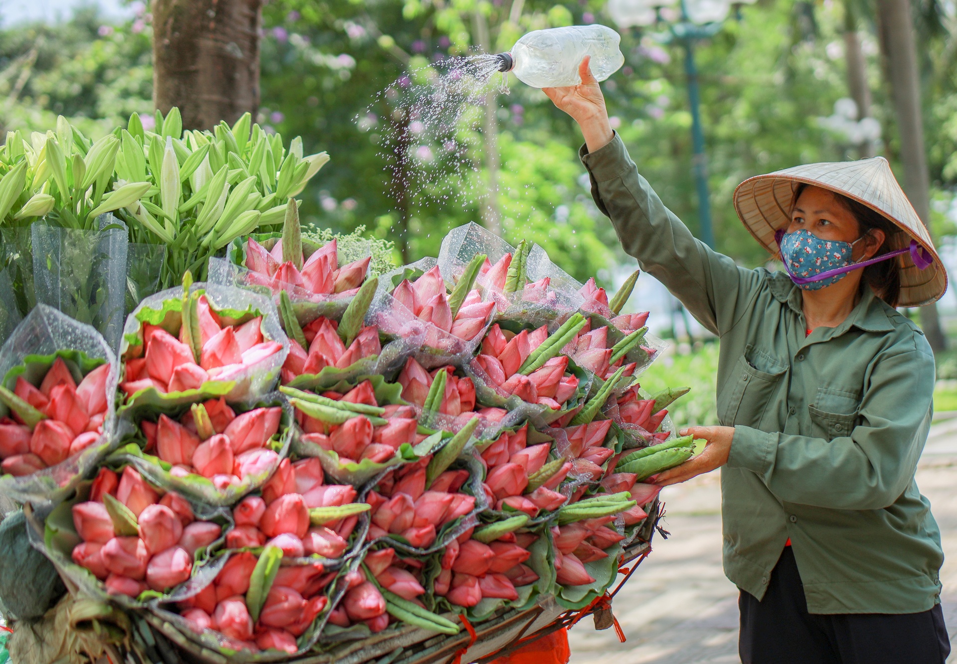 hà nội nnhững ngày hè nóng bức ảnh 4 ha noi nnhung ngay he nong buc anh 4