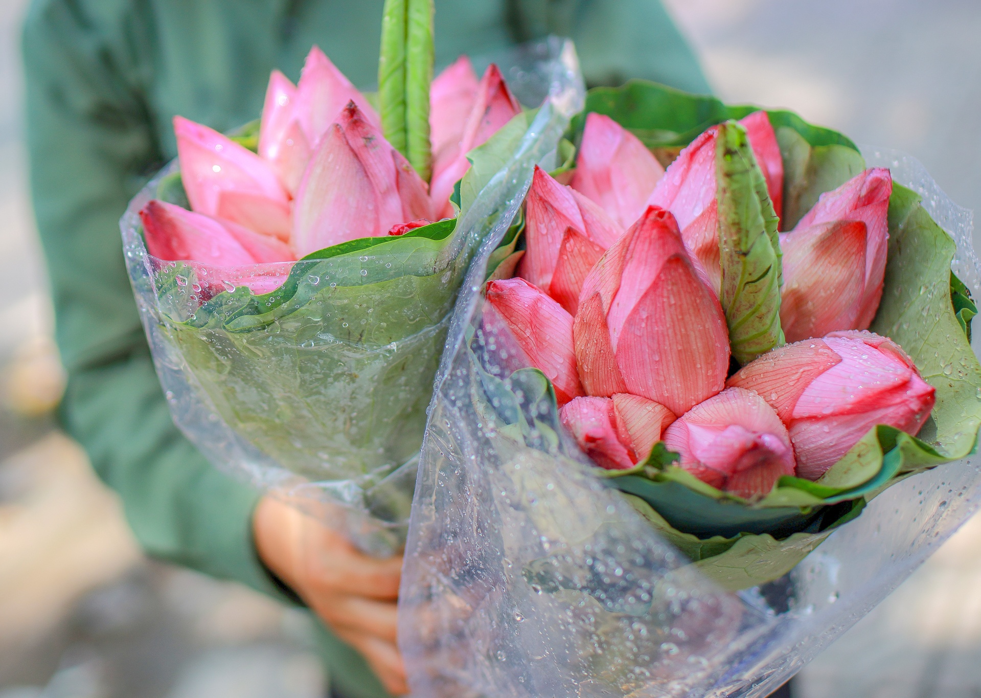 hà nội nnhững ngày hè nóng bức ảnh 5 ha noi nnhung ngay he nong buc anh 5