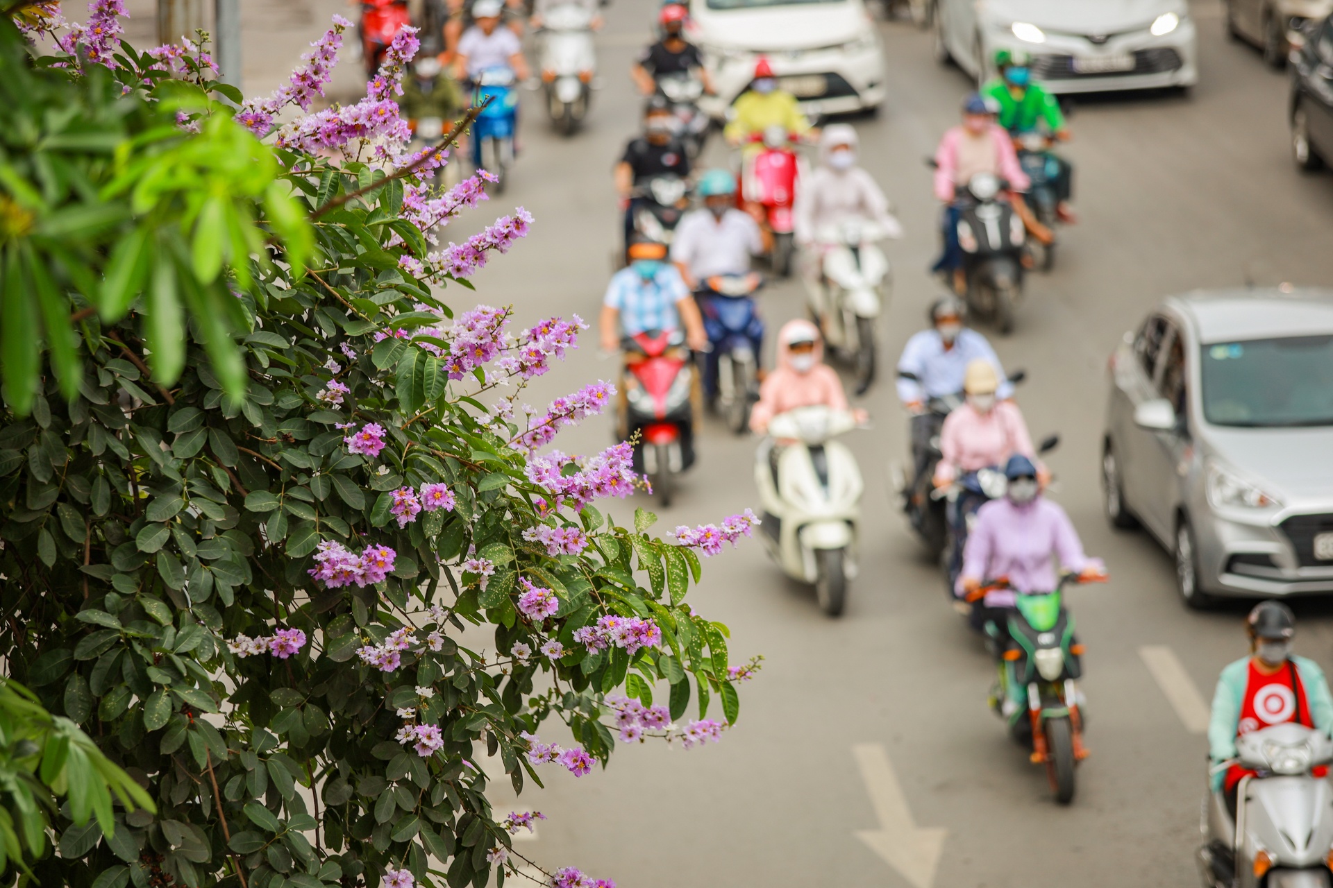 hà nội nnhững ngày hè nóng bức ảnh 6 ha noi nnhung ngay he nong buc anh 6