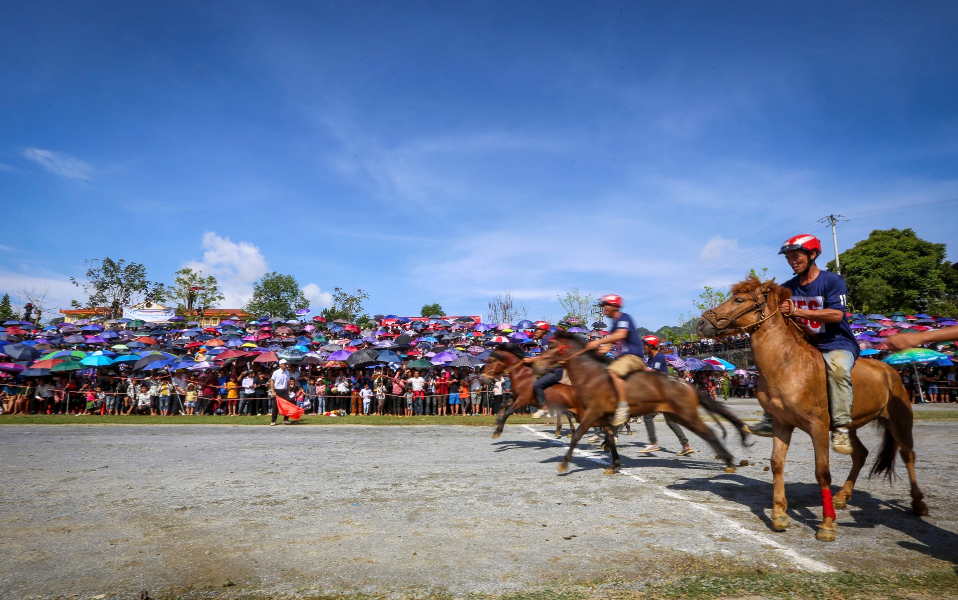 giai dua ngua Bac Ha anh 1