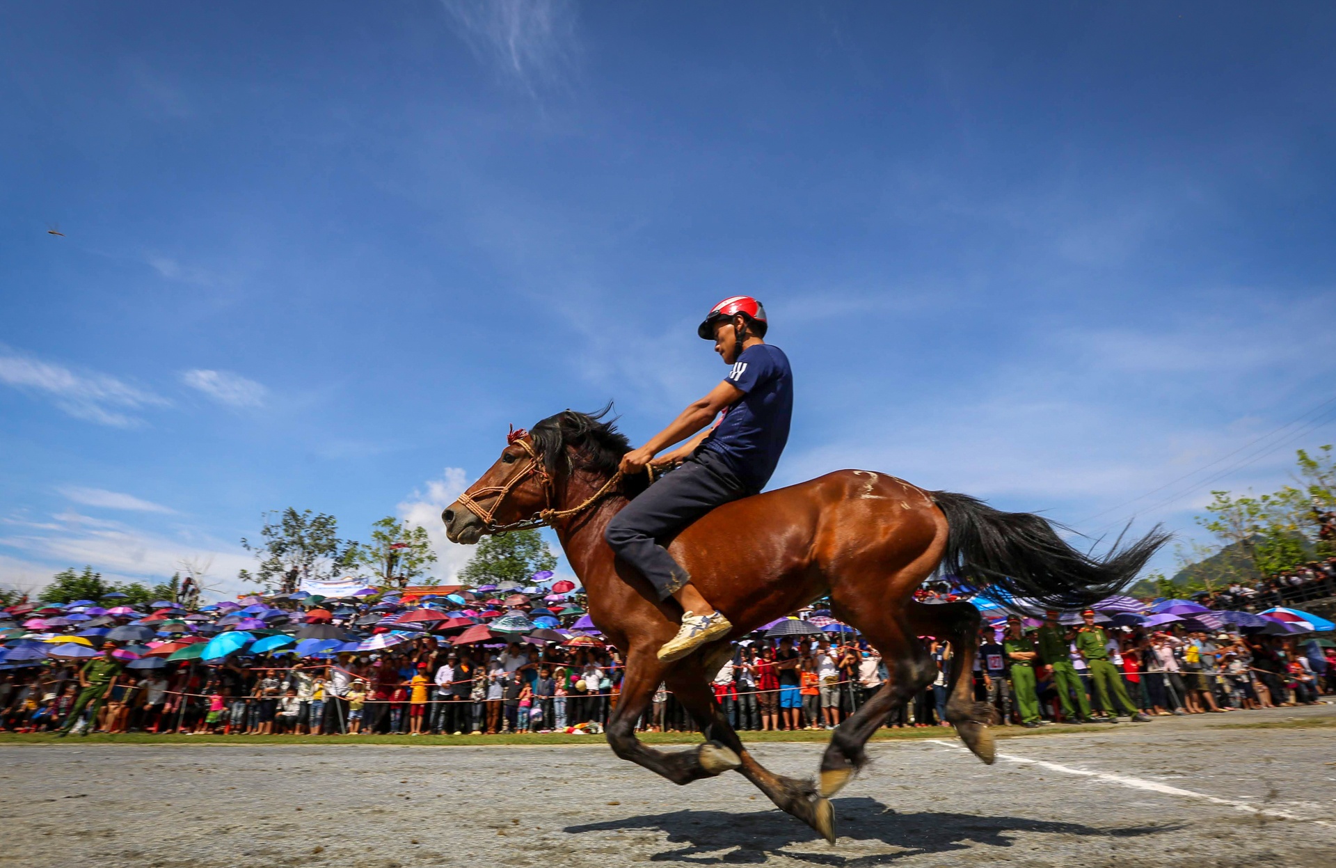 giai dua ngua Bac Ha anh 3