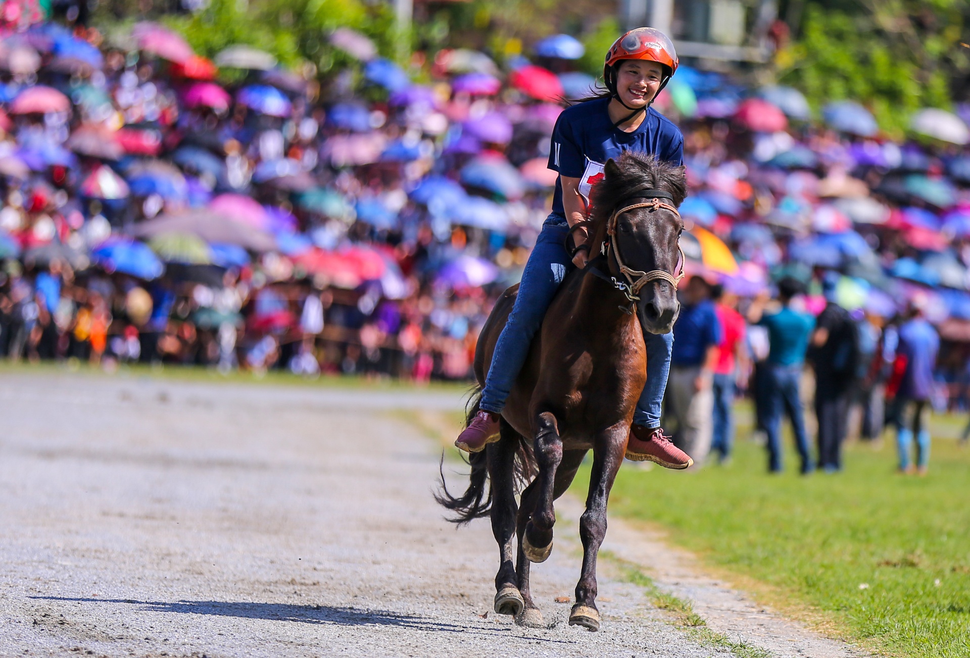 giai dua ngua Bac Ha anh 5