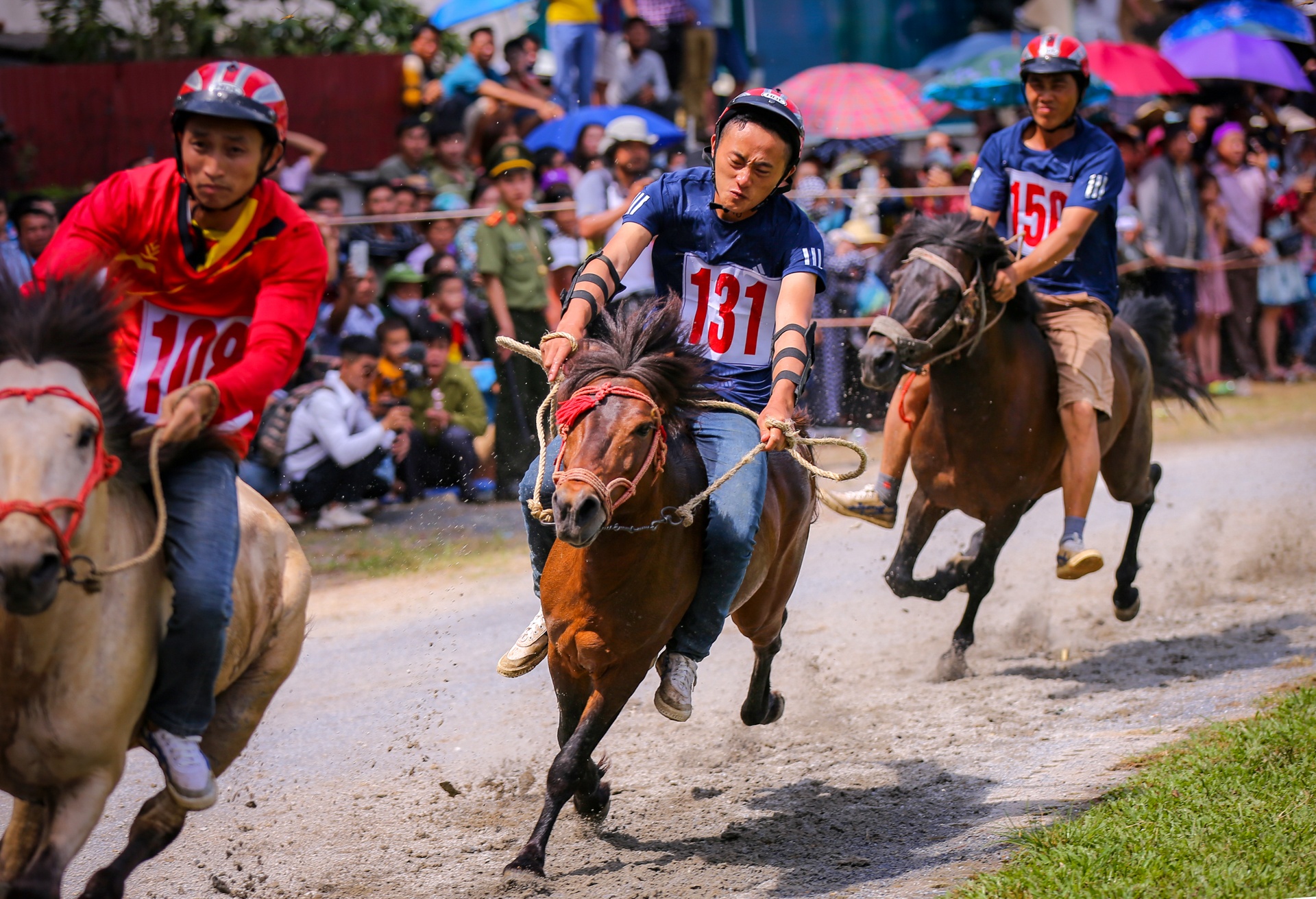 giai dua ngua Bac Ha anh 7