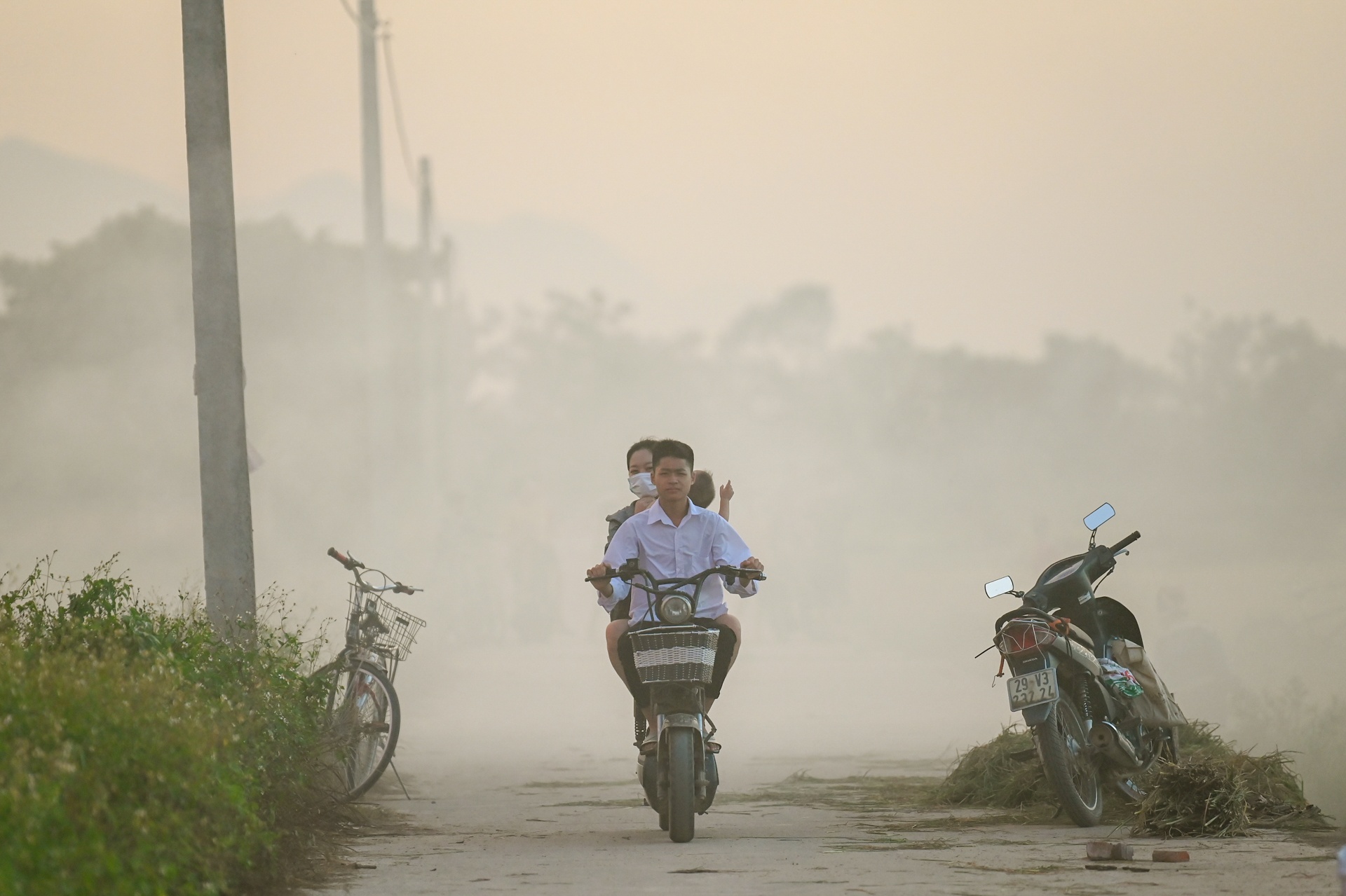 nong dan doi nang thu hoach lua anh 22