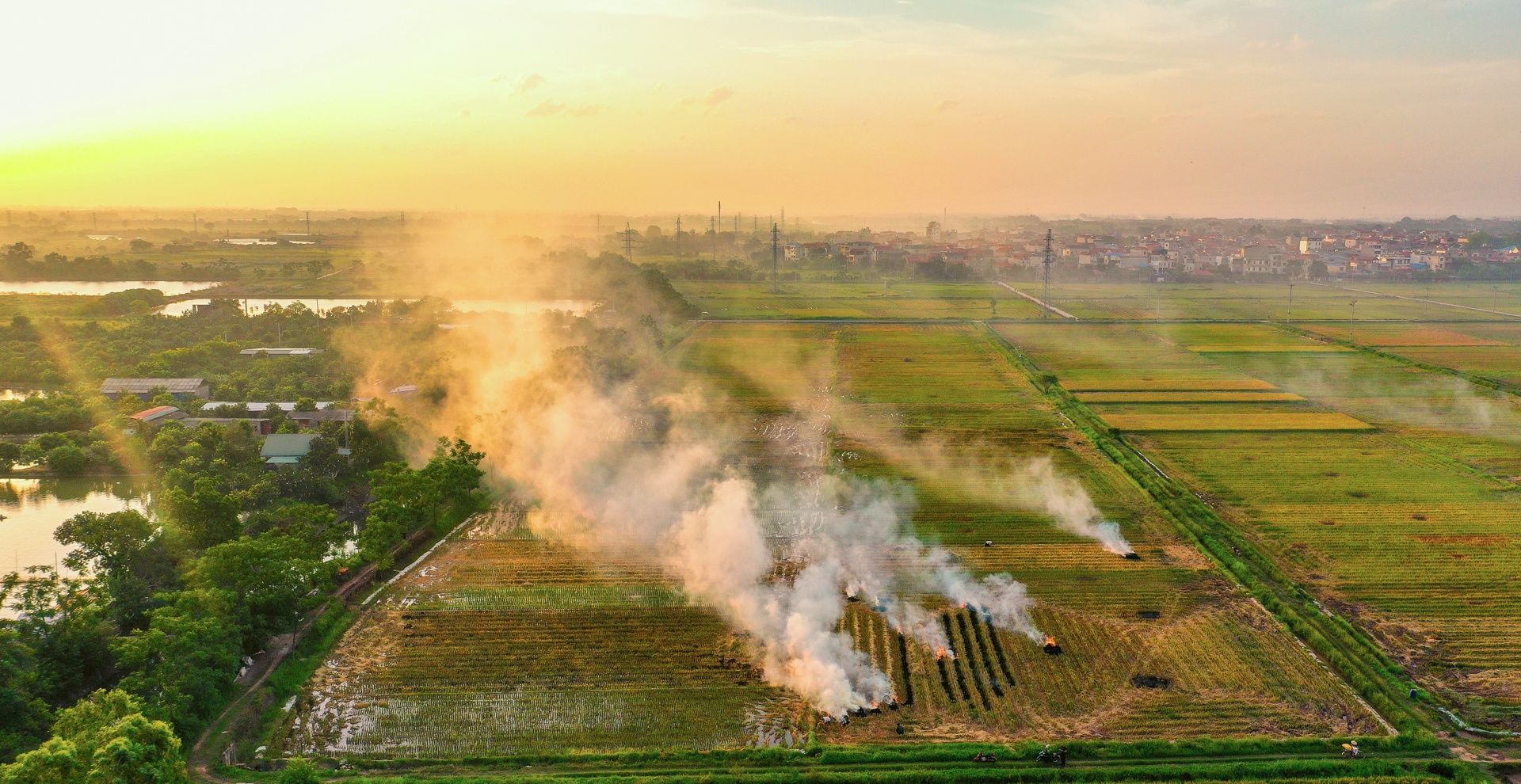nong dan doi nang thu hoach lua anh 13