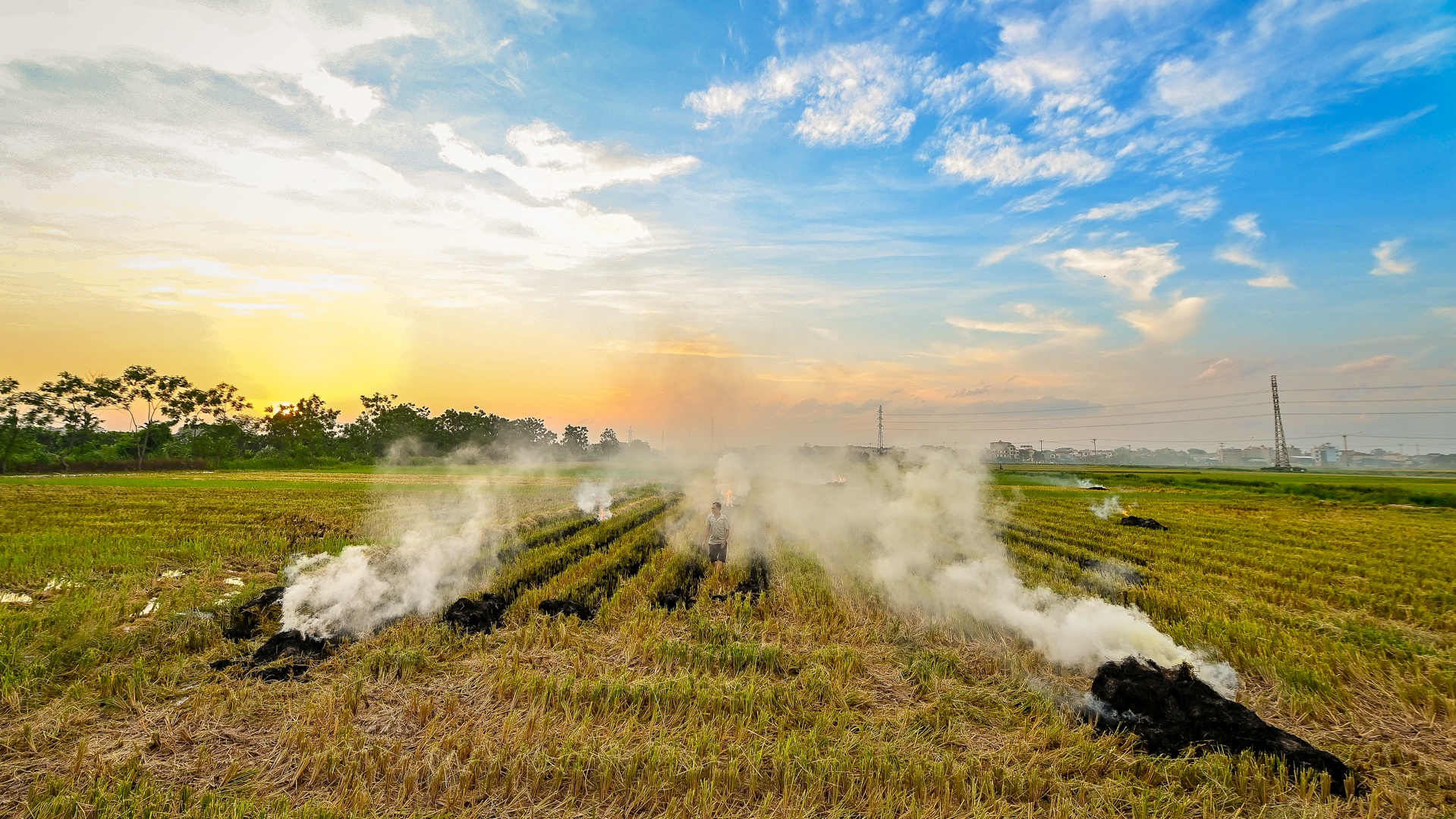 nong dan doi nang thu hoach lua anh 18
