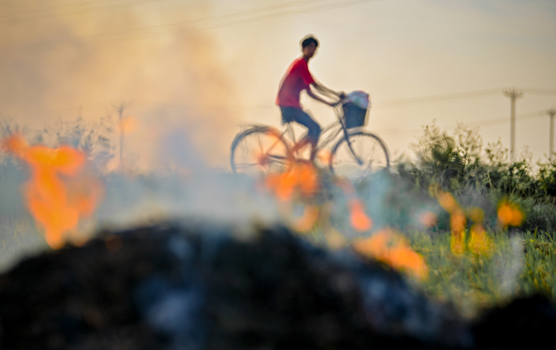 nong dan doi nang thu hoach lua anh 19