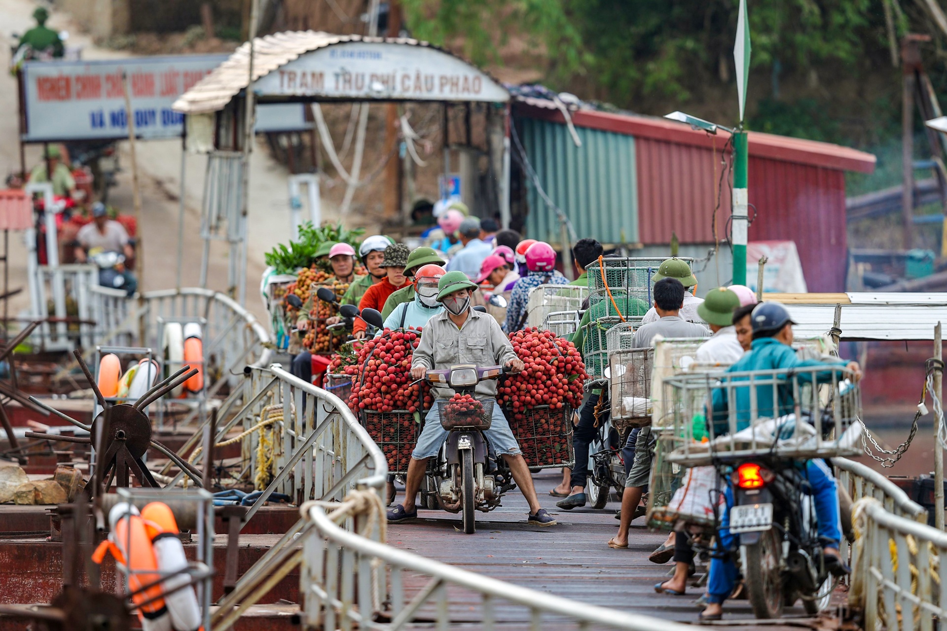 cho vai luc ngan bac giang anh 16
