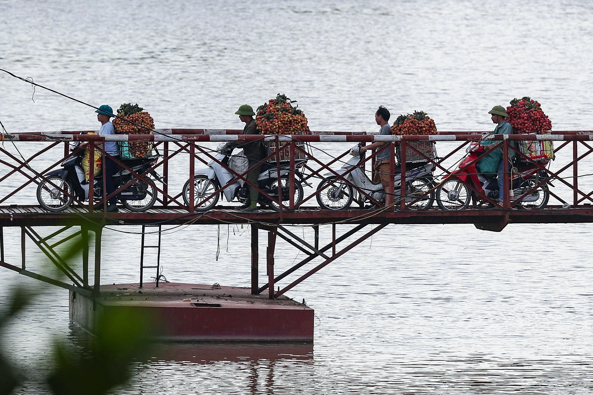 cho vai luc ngan bac giang anh 13