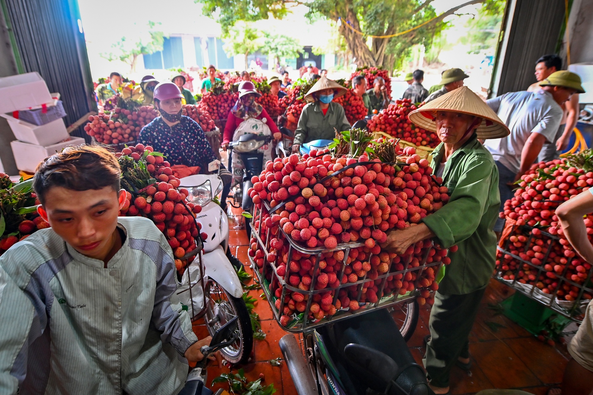 cho vai luc ngan bac giang anh 17