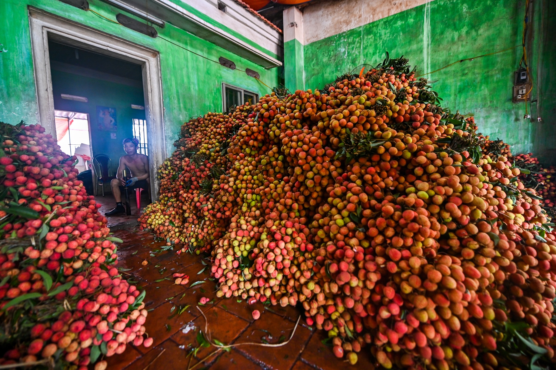 cho vai luc ngan bac giang anh 21