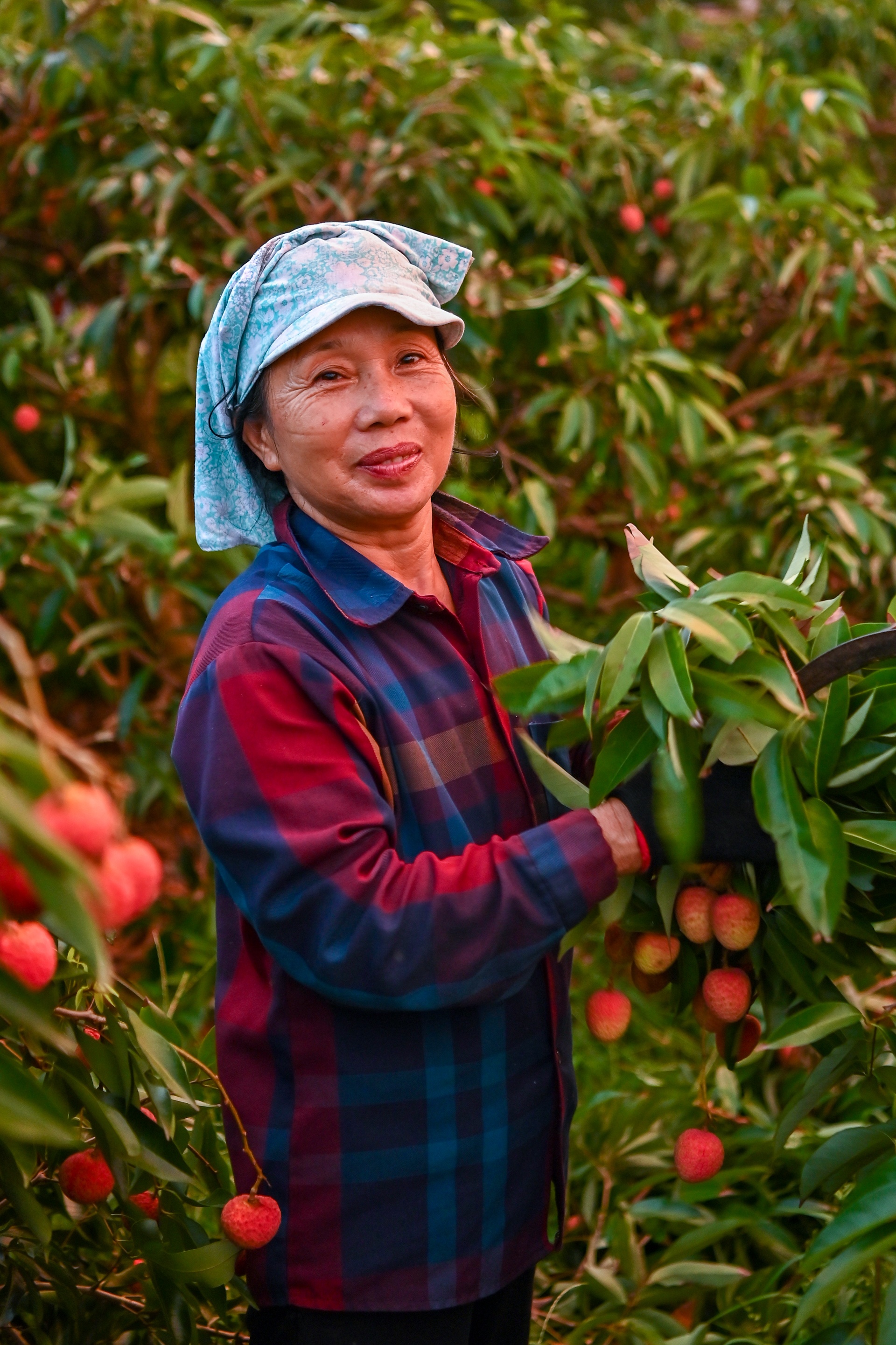 cho vai luc ngan bac giang anh 6