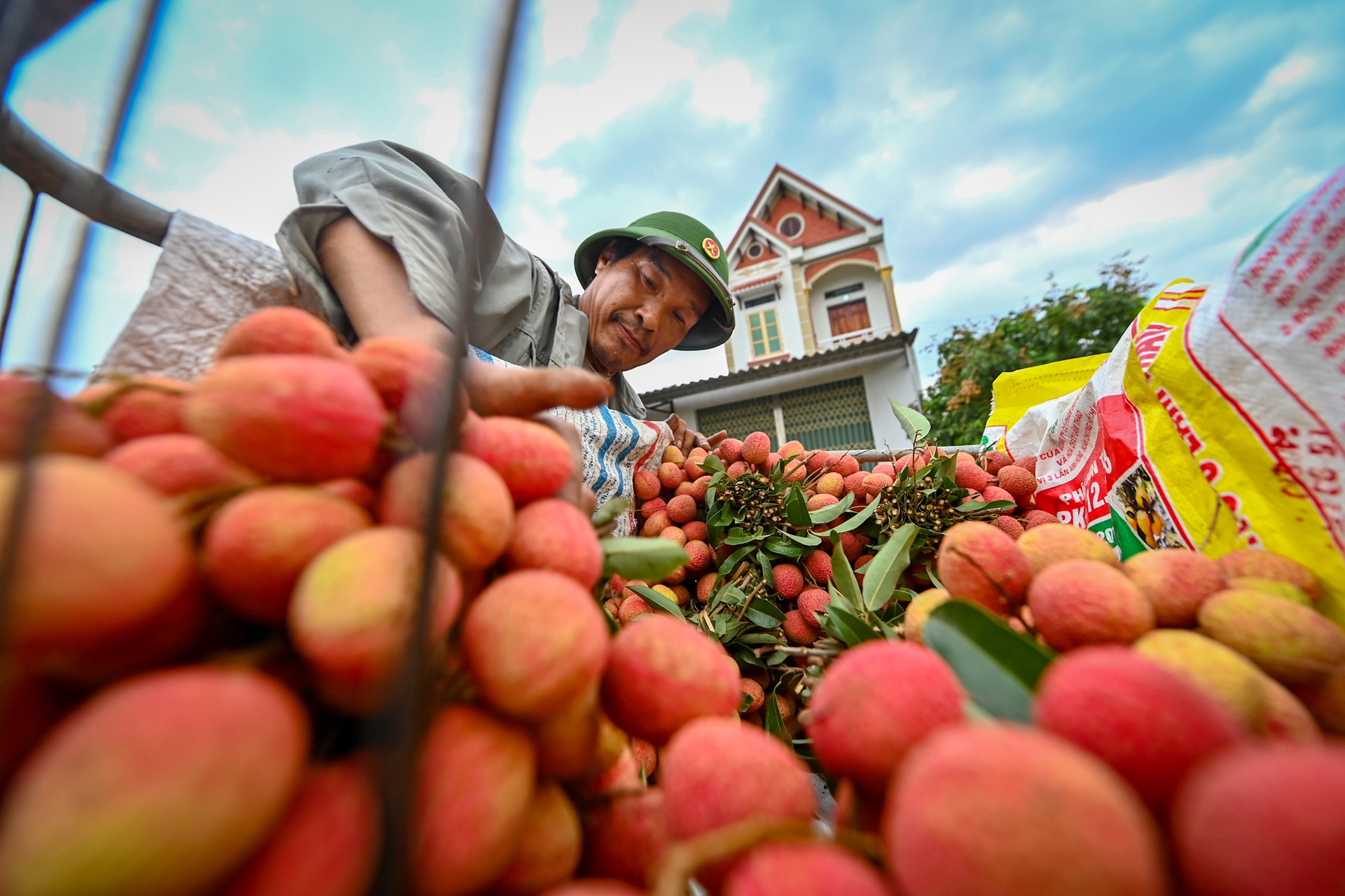 cho vai luc ngan bac giang anh 10