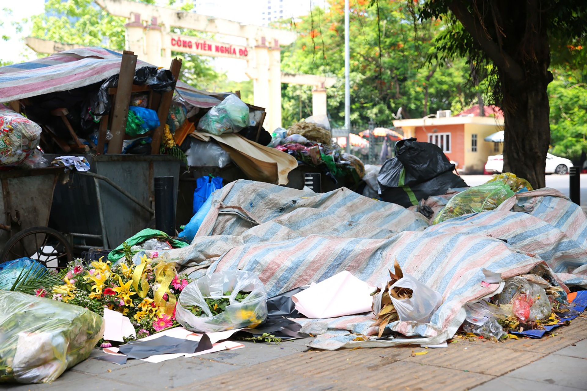 un u rac thai giua thu do anh 10