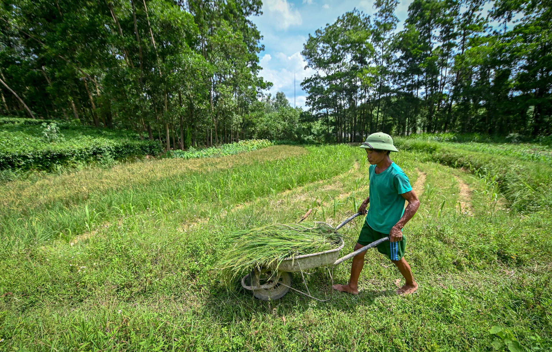 bai rac Nam Son o nhiem anh 6