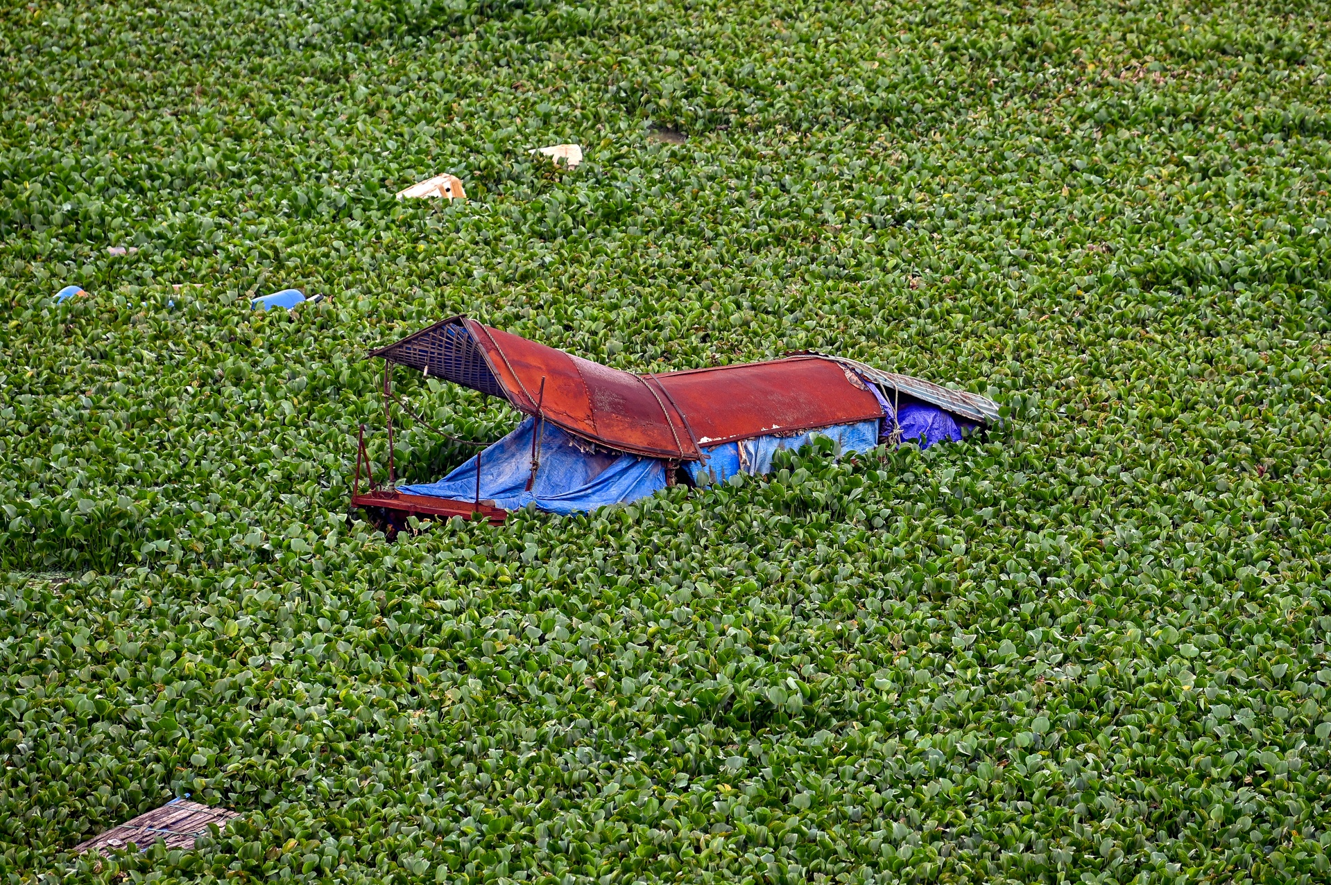 nuoc lu song hong dang cao anh 6