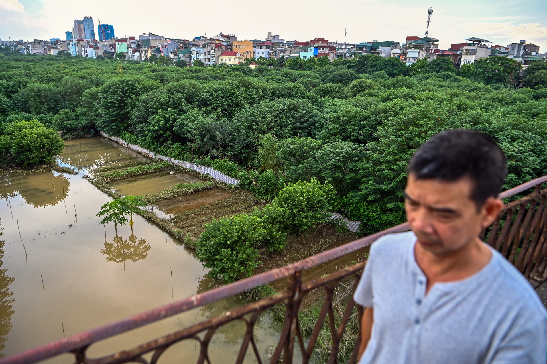 nuoc lu song hong dang cao anh 8