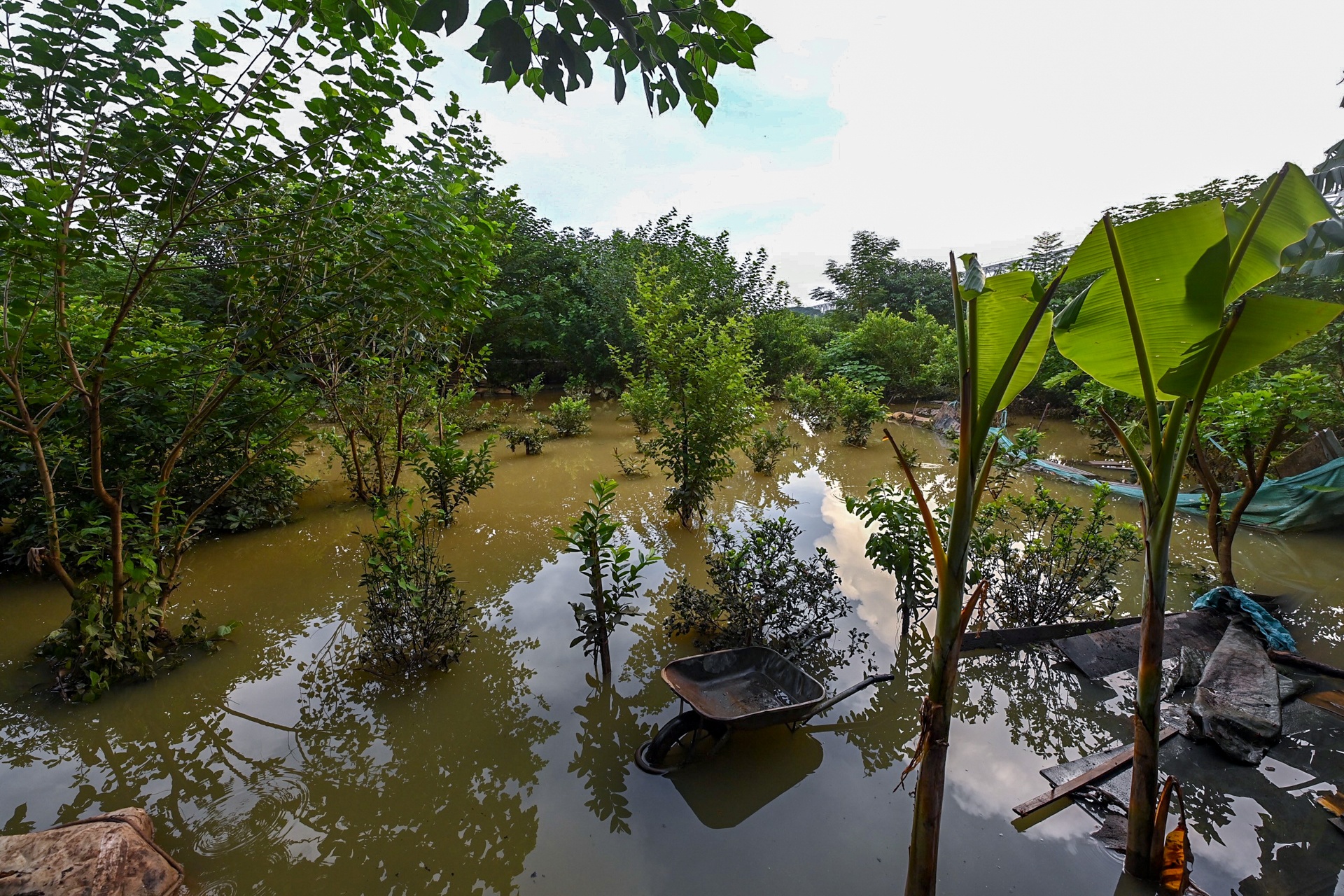 nuoc lu song hong dang cao anh 9