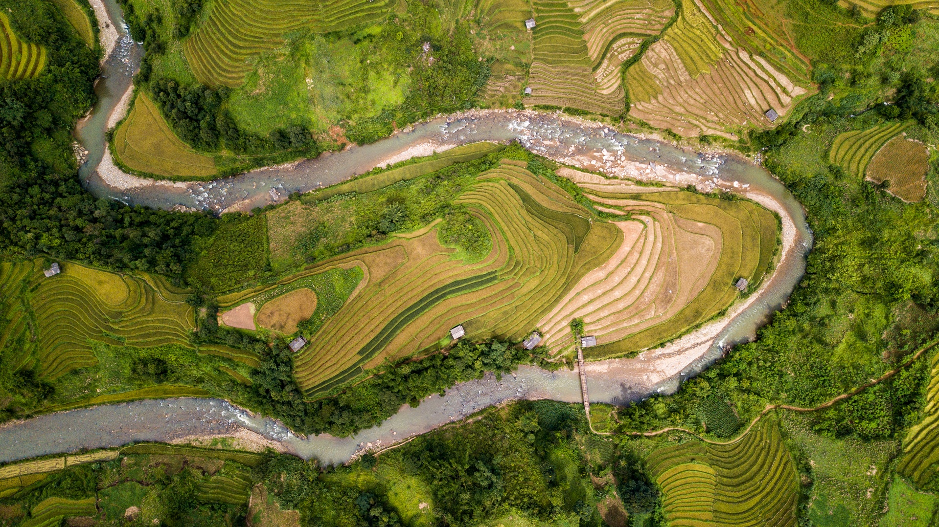 Ruong bac thang Mu Cang Chai mua lua chin anh 5