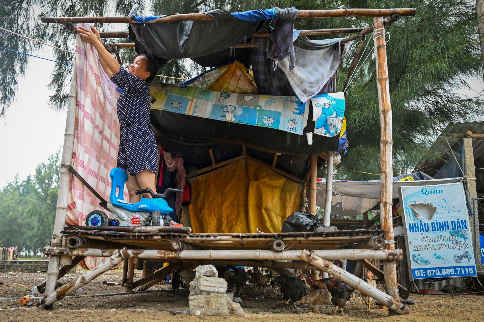 Thua Thien - Hue truoc bao so 5 hinh anh