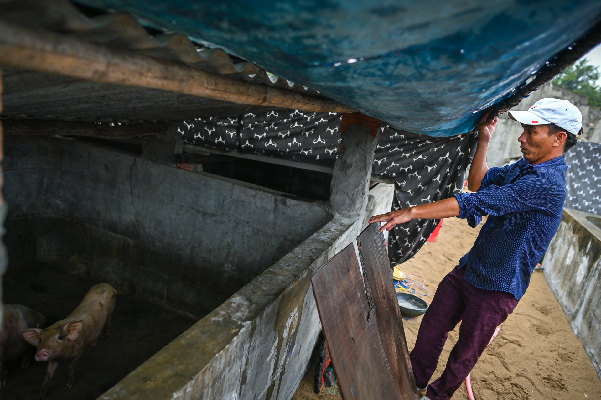 Nguoi dan bam tru bat chap bao so 5 anh 3