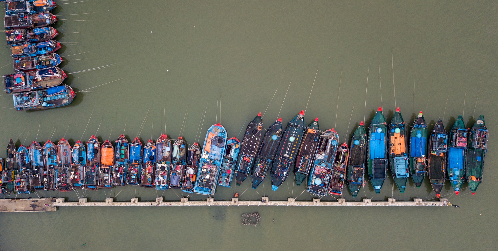 Nguoi dan bam tru bat chap bao so 5 anh 6