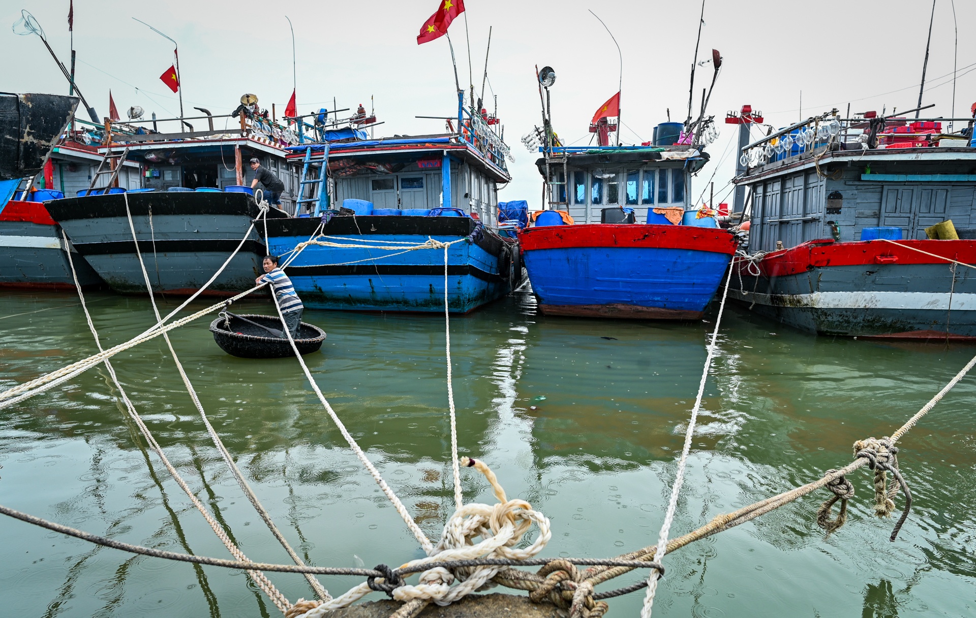 Nguoi dan bam tru bat chap bao so 5 anh 7