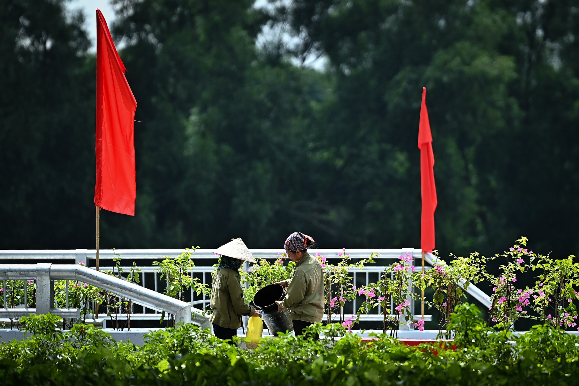 thong xe cau vuot thap qua ho linh dam anh 10