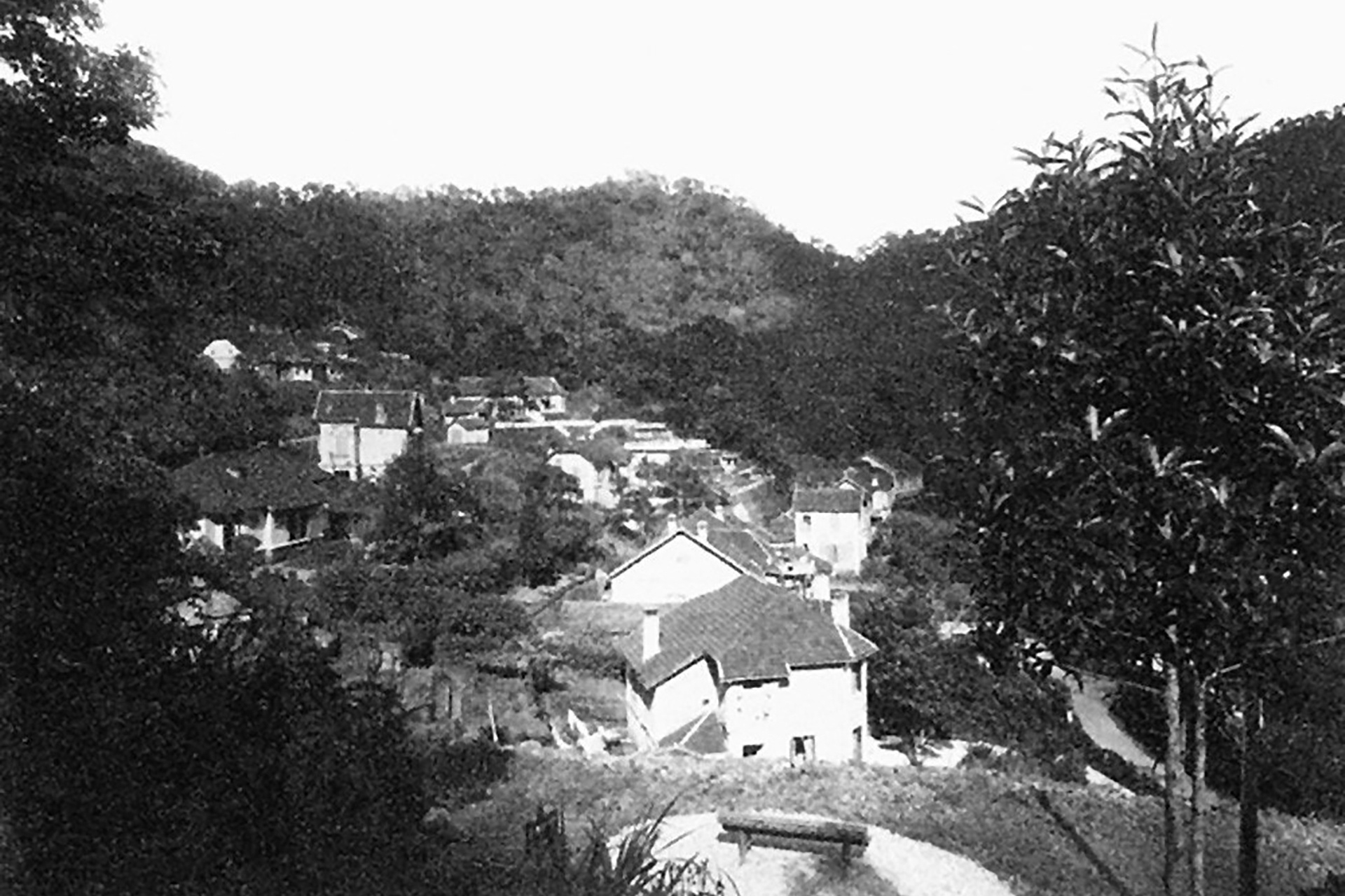 Canh doi lap o Tam Dao anh 19