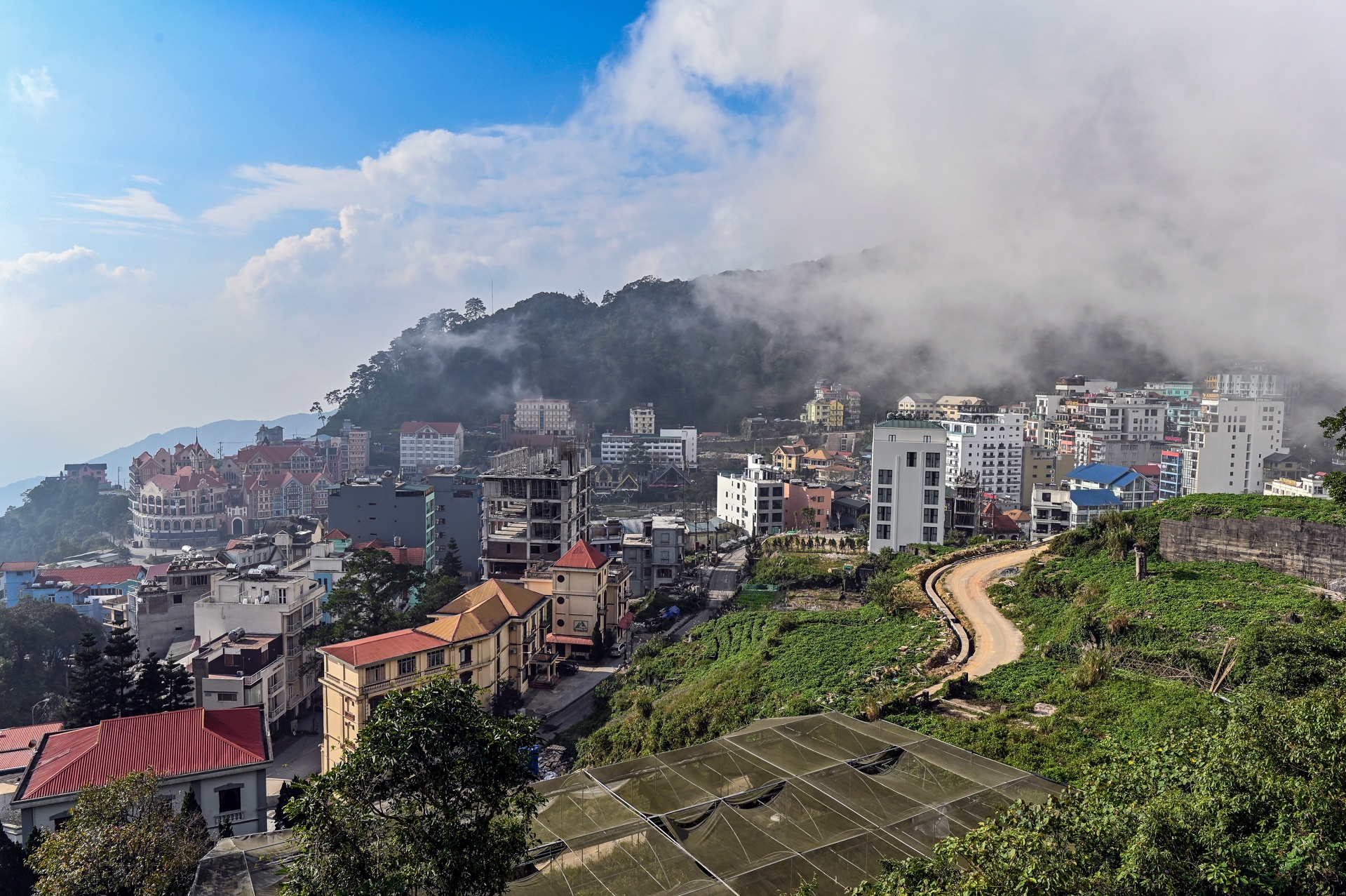 Canh doi lap o Tam Dao anh 20