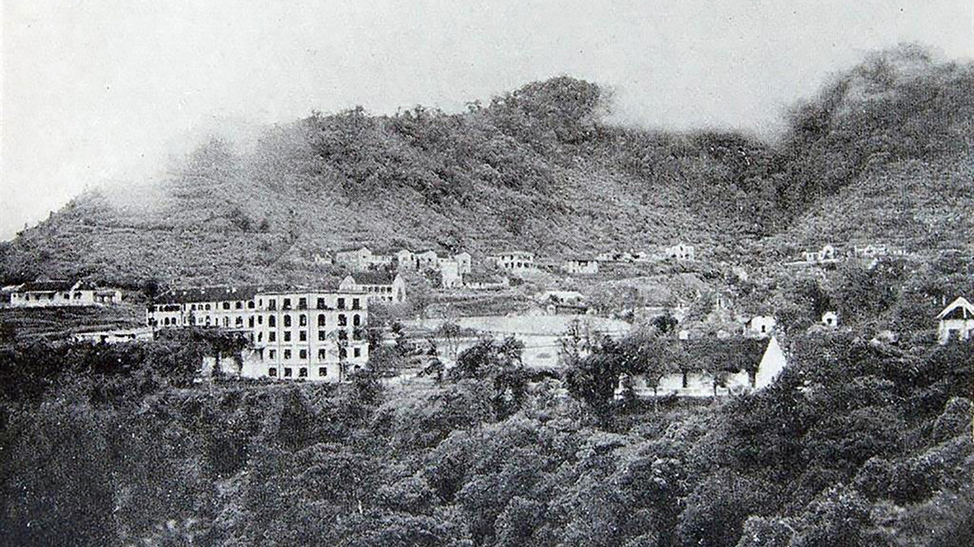 Canh doi lap o Tam Dao anh 7