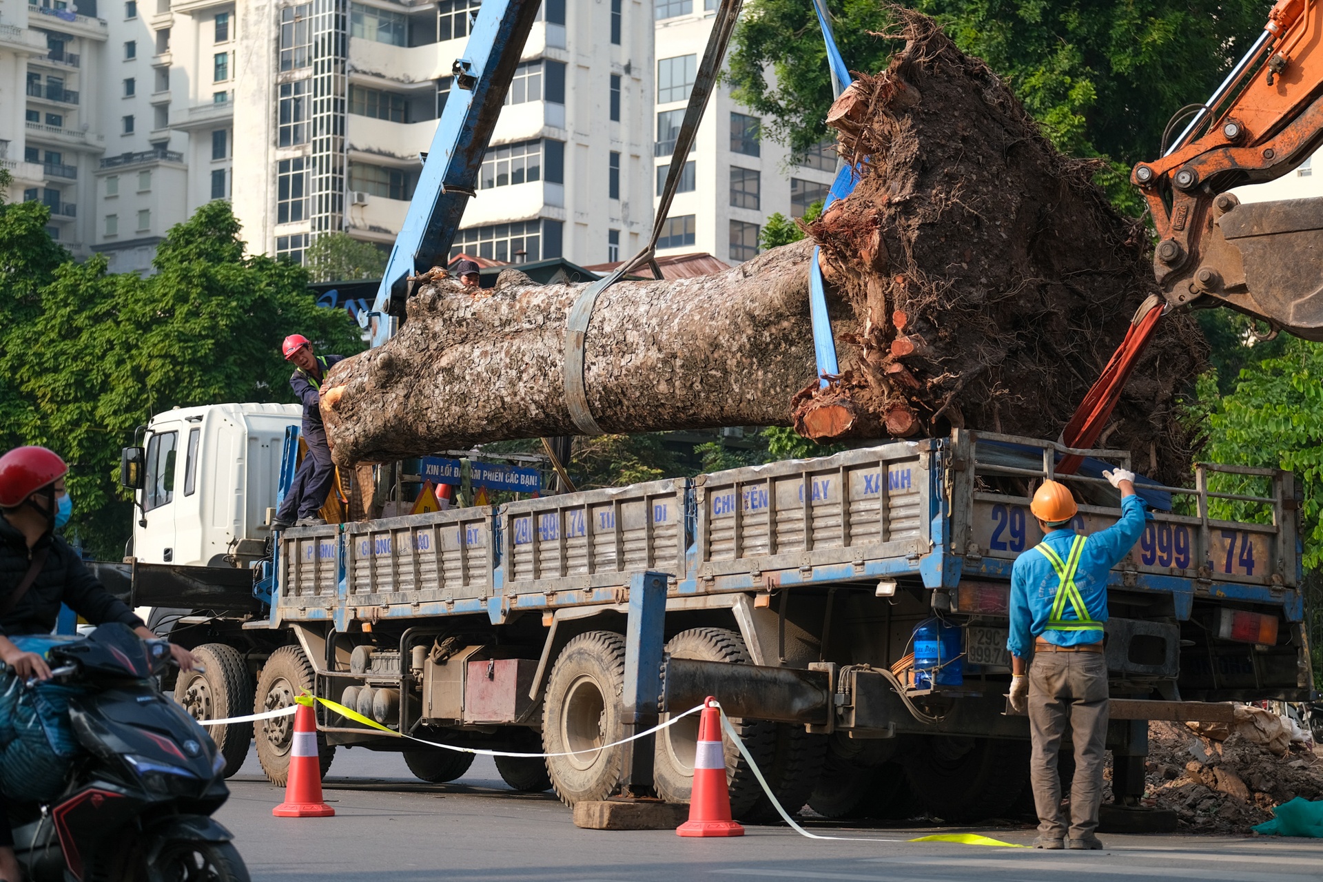 Duong sat do thi anh 5