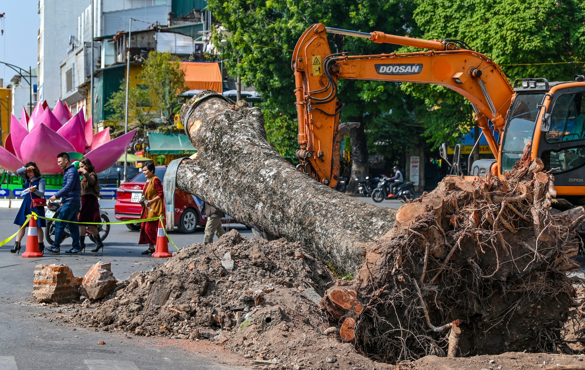 Di chuyen, chat ha 40 cay xanh de lam metro Nhon - ga Ha Noi hinh anh