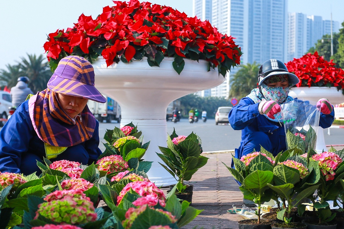 Duong pho trang hoang chao don Dai hoi Dang anh 4