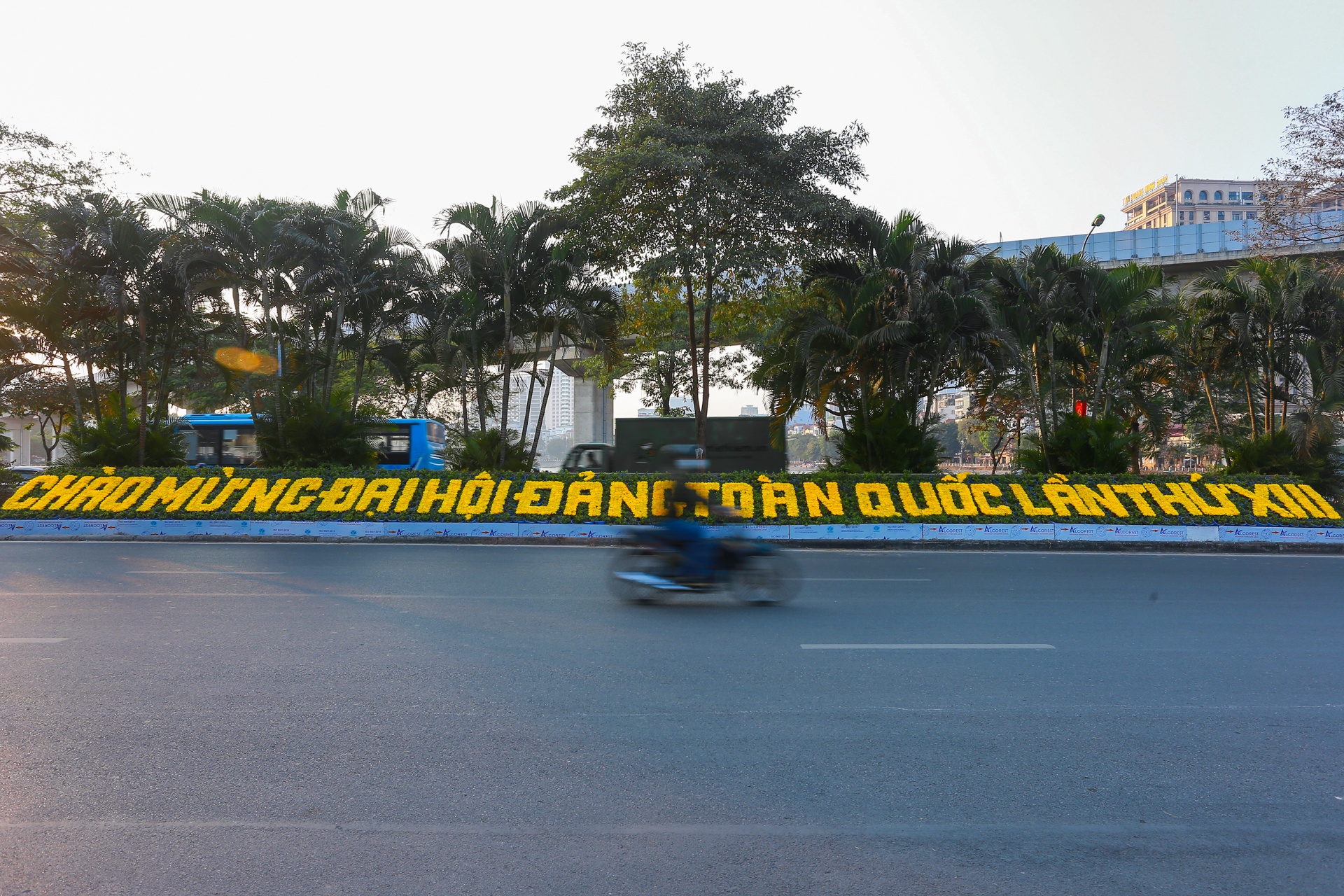 Duong pho trang hoang chao don Dai hoi Dang anh 15