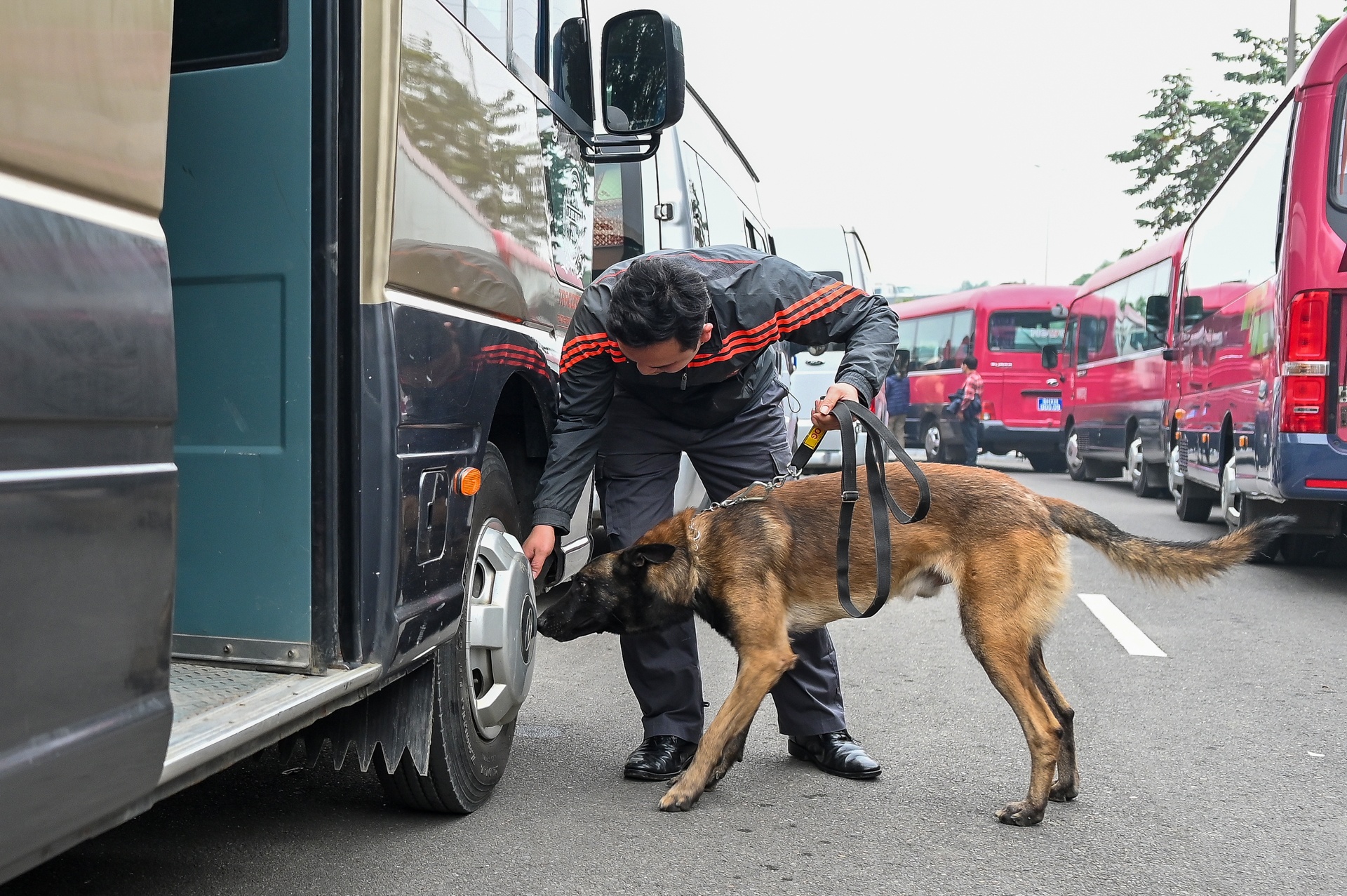 gan bien so xe phuc vu Dai hoi Dang anh 12