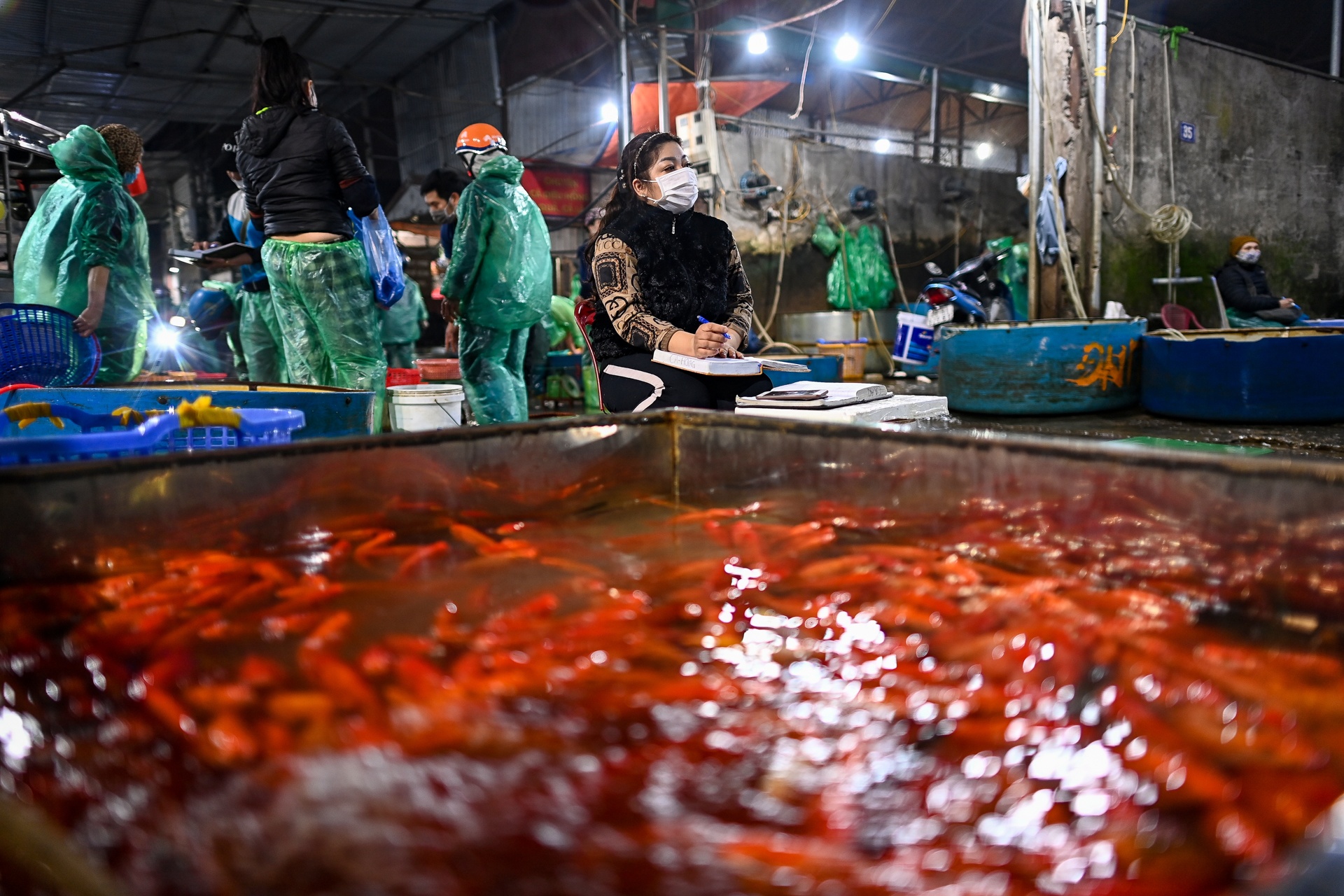 Gia ca chep cung Tao quan tang gap 3 lan anh 4